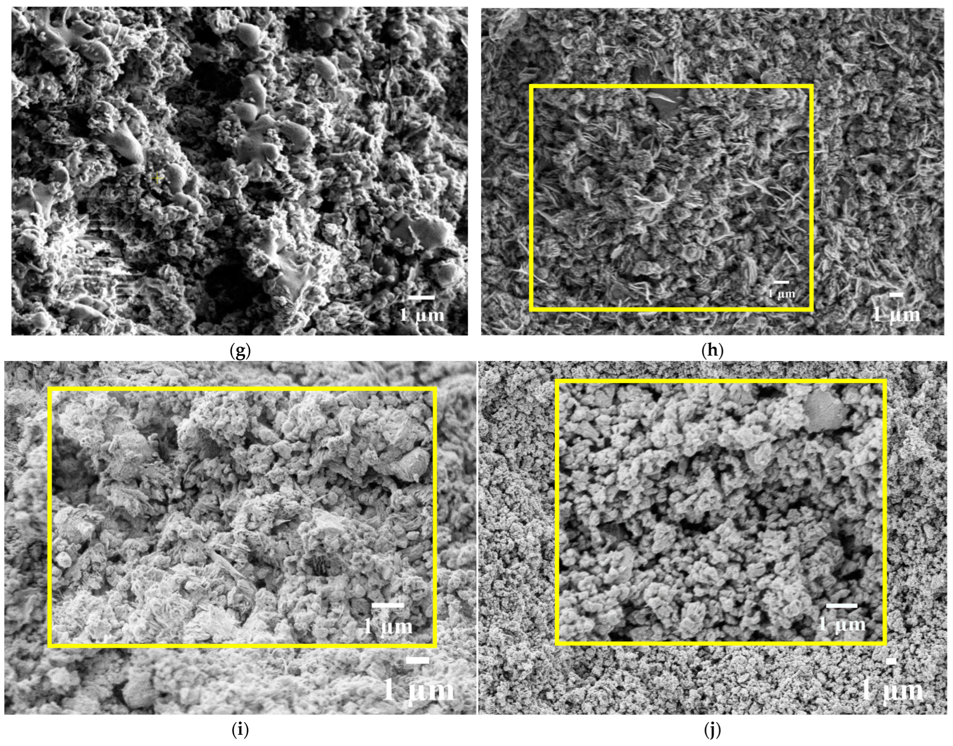 Inorganics 13 00043 g005b