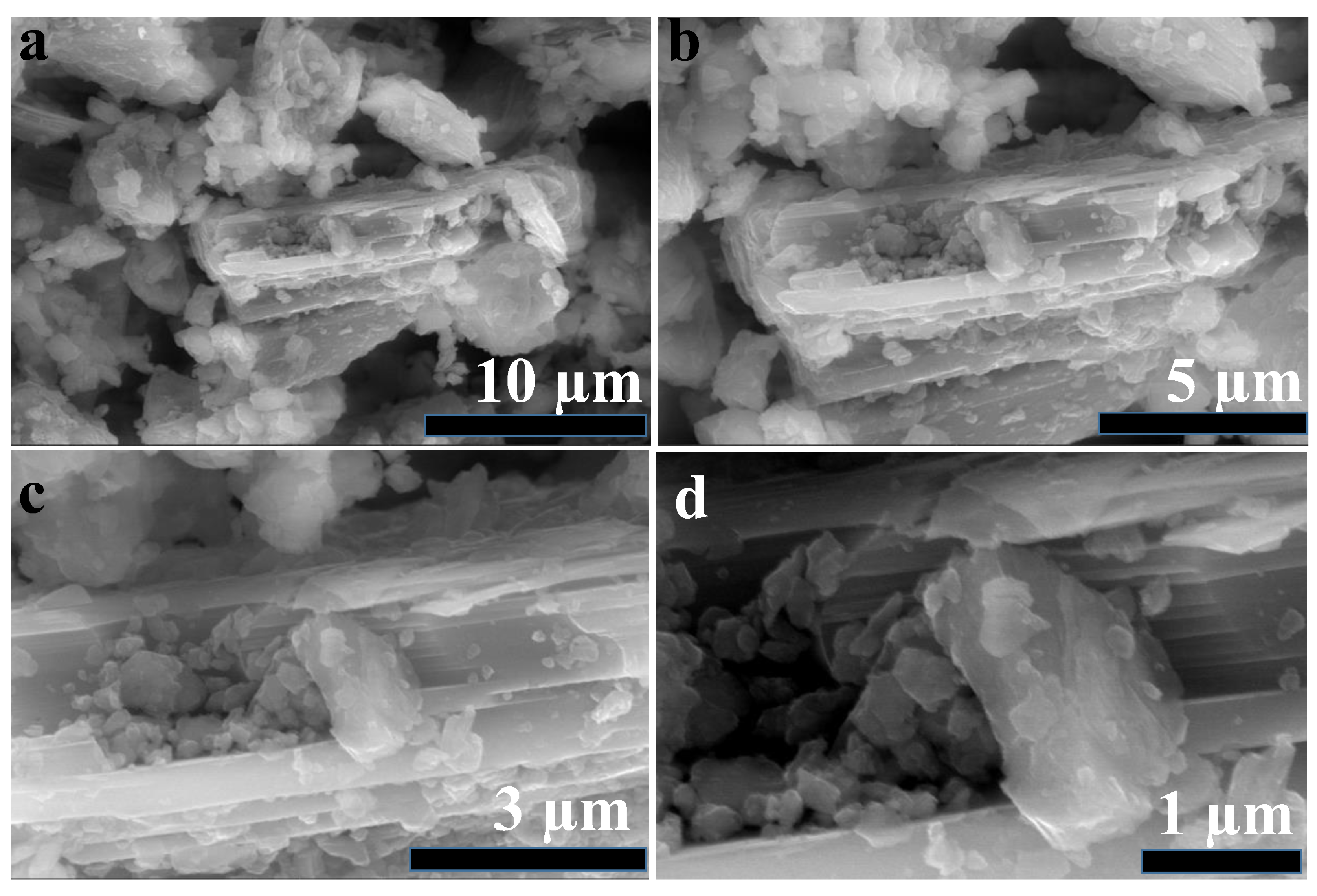 Inorganics 13 00044 g004