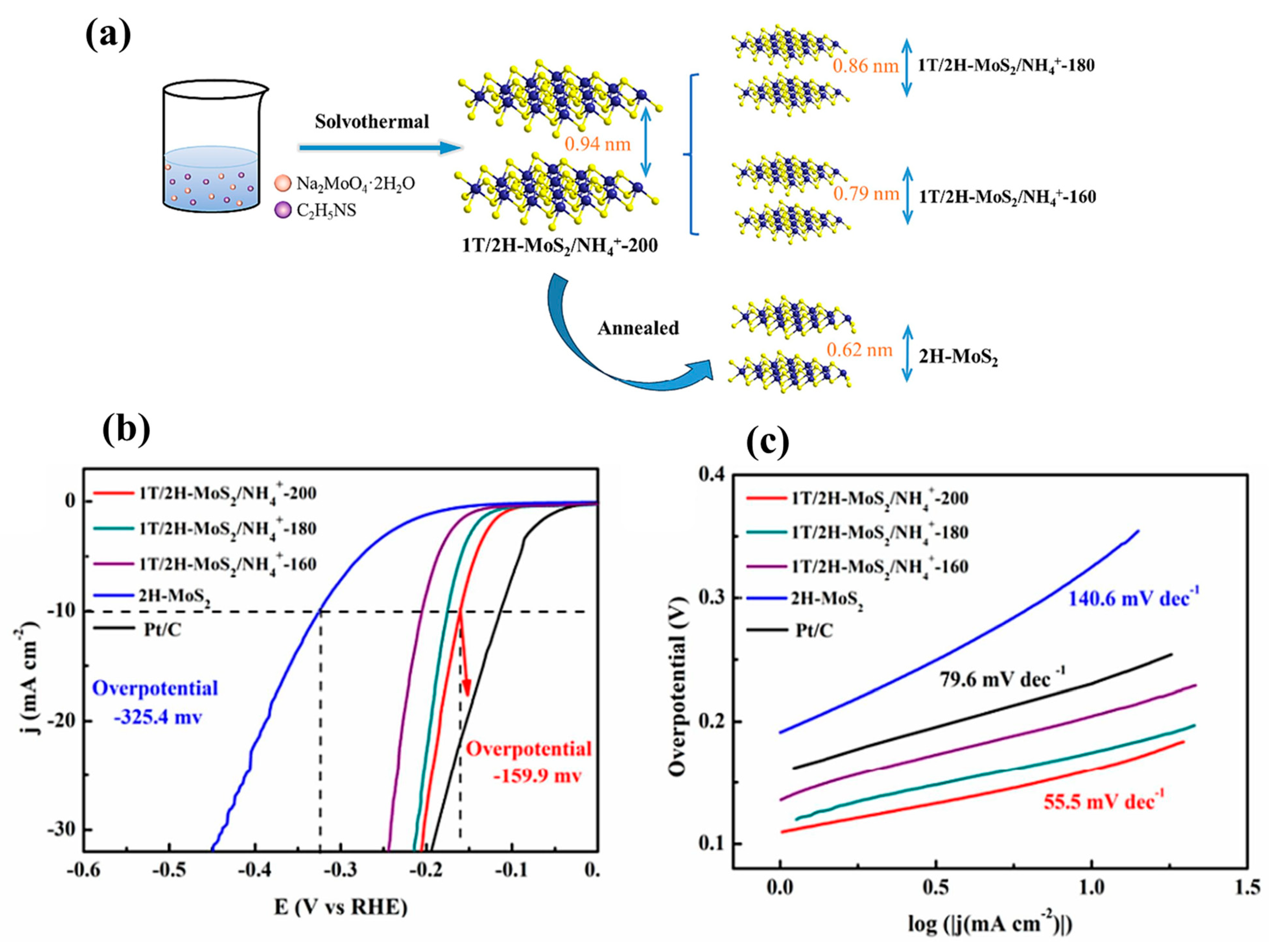 Inorganics 13 00047 g005