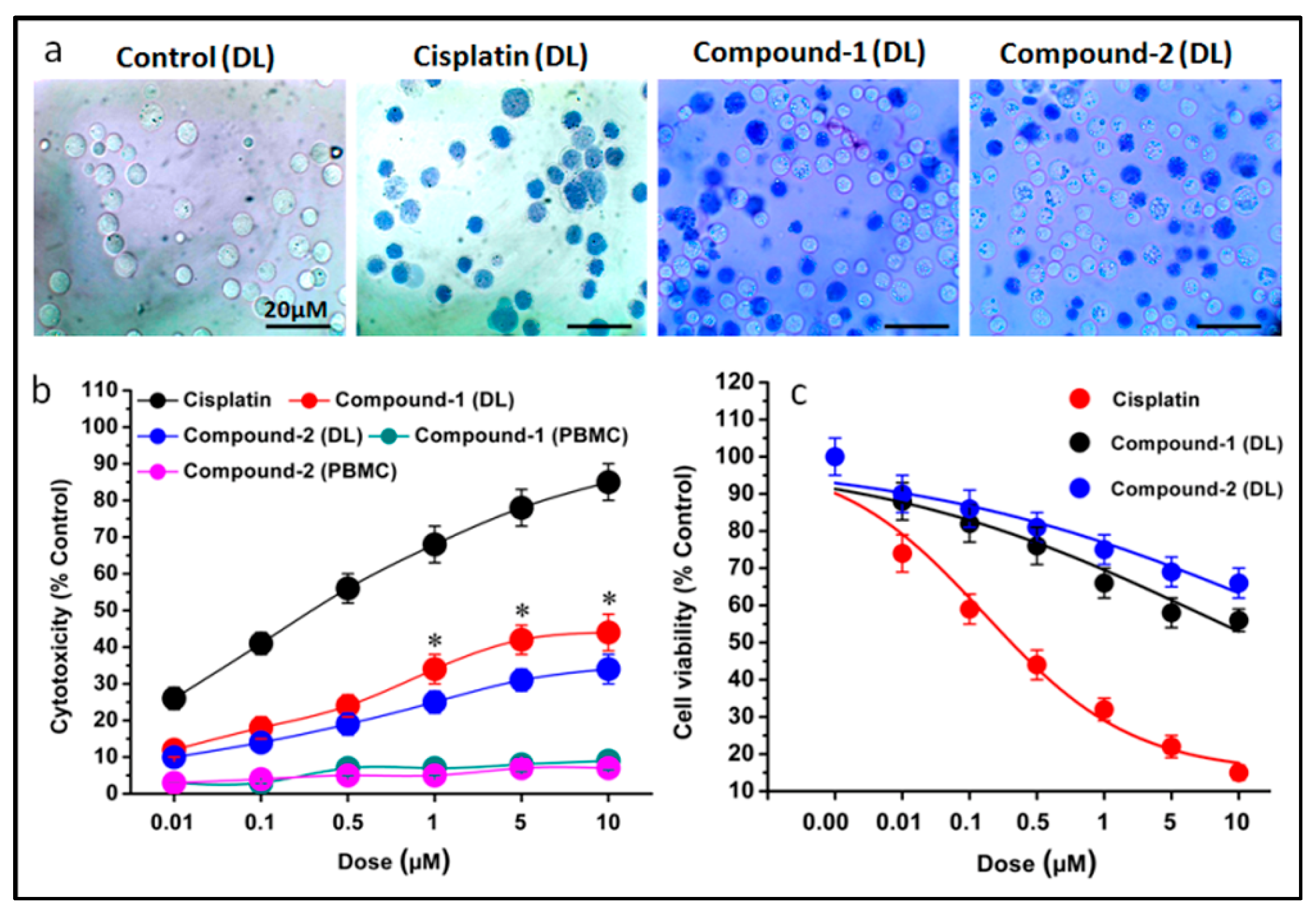 Inorganics 13 00051 g013