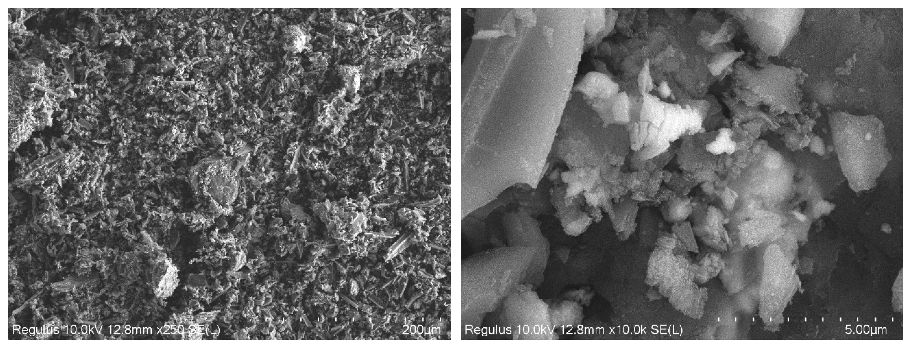 Inorganics 13 00054 g004a