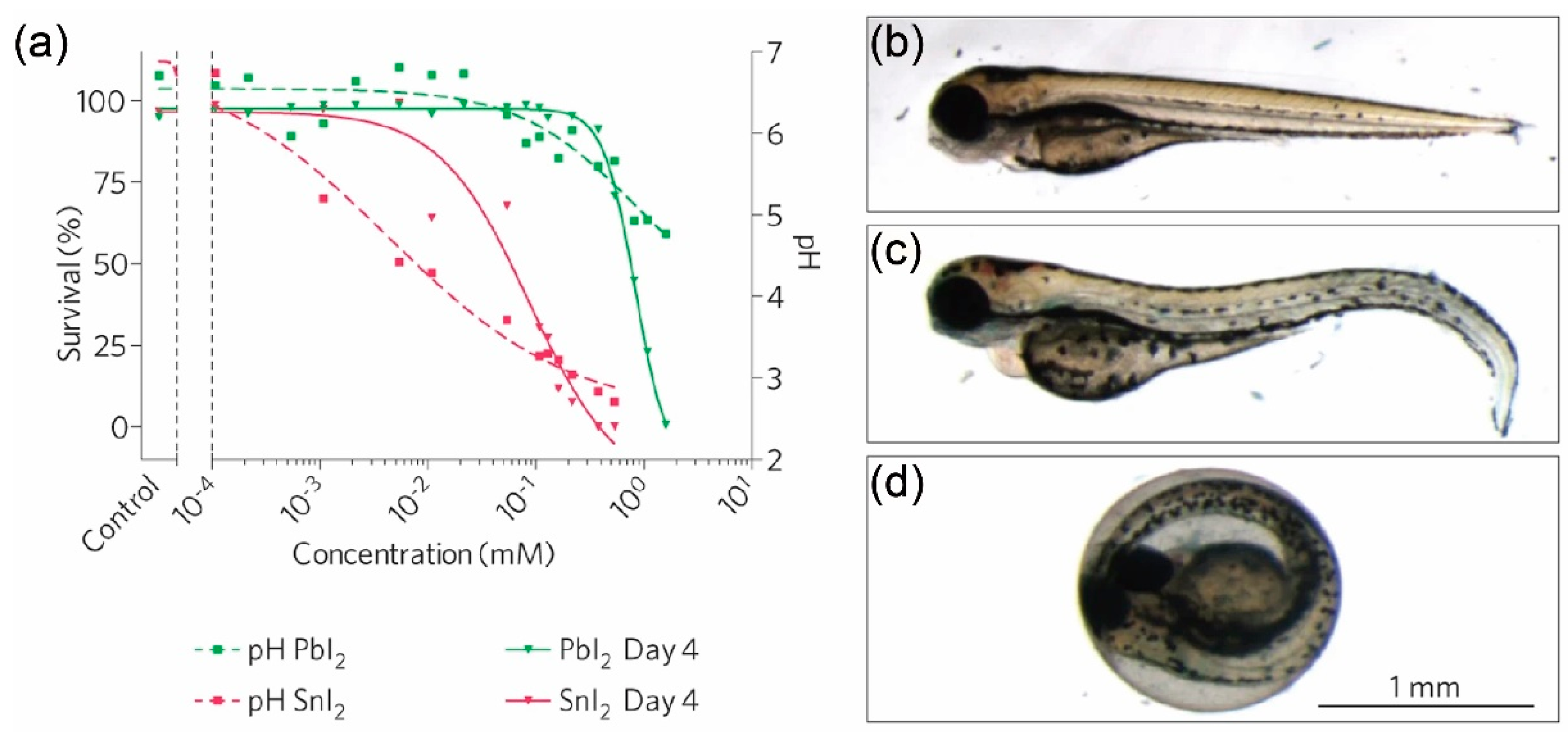 Inorganics 13 00055 g003