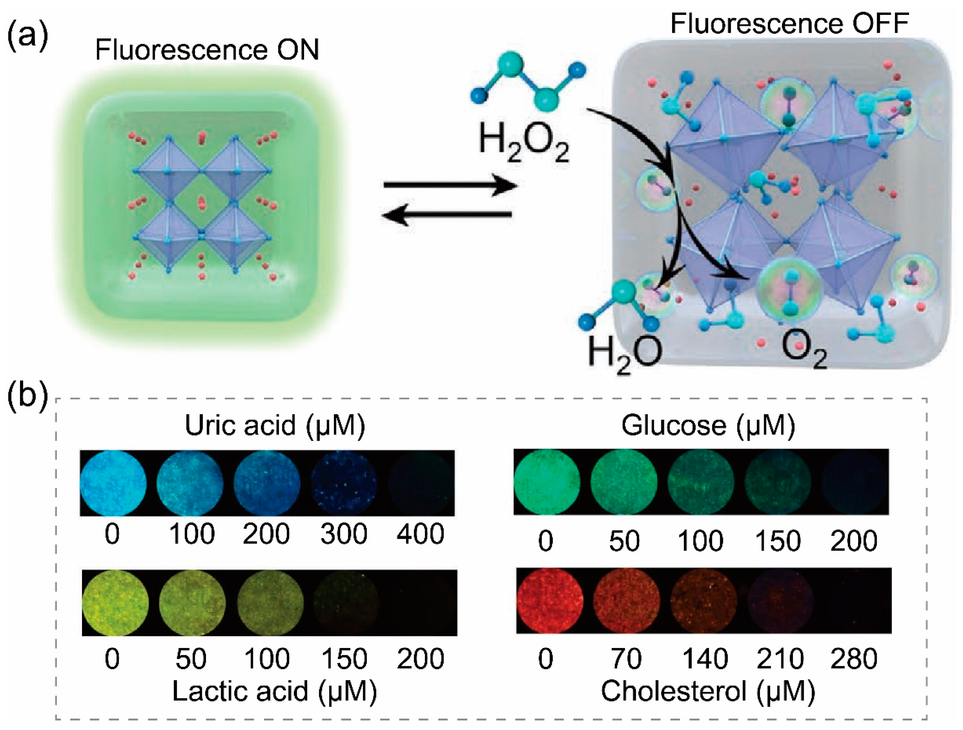 Inorganics 13 00055 g012
