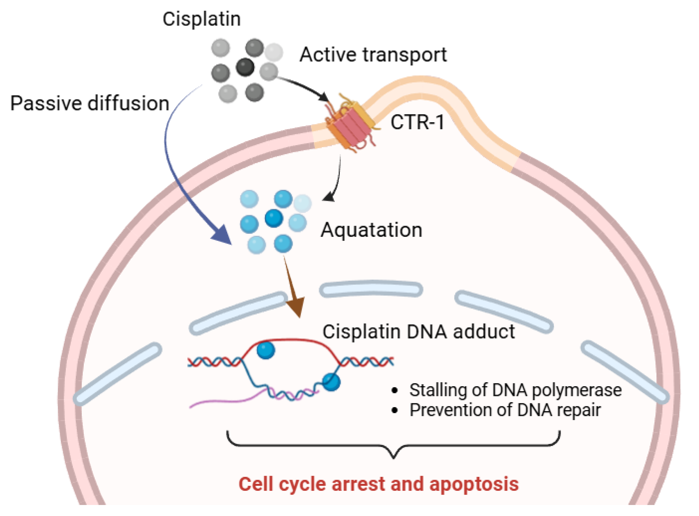 Inorganics 13 00064 g002