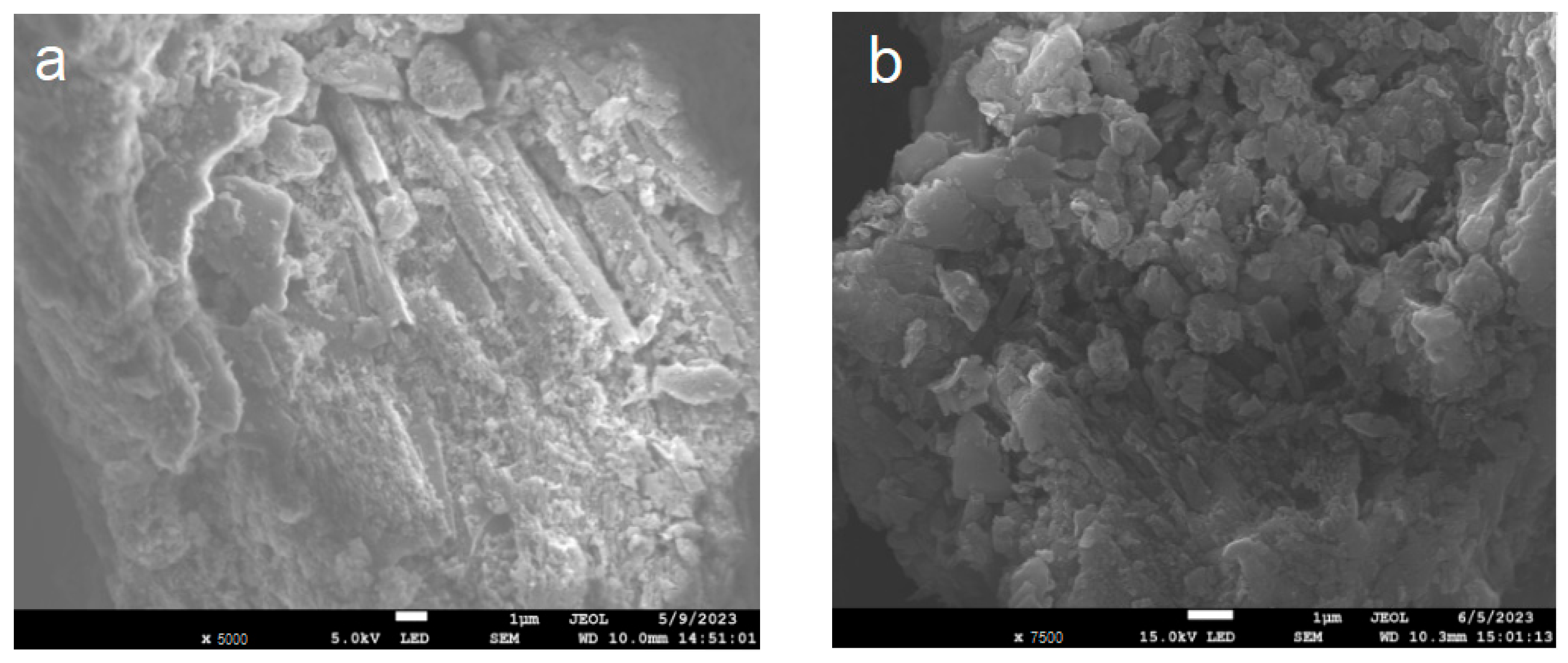 Inorganics 13 00077 g003a