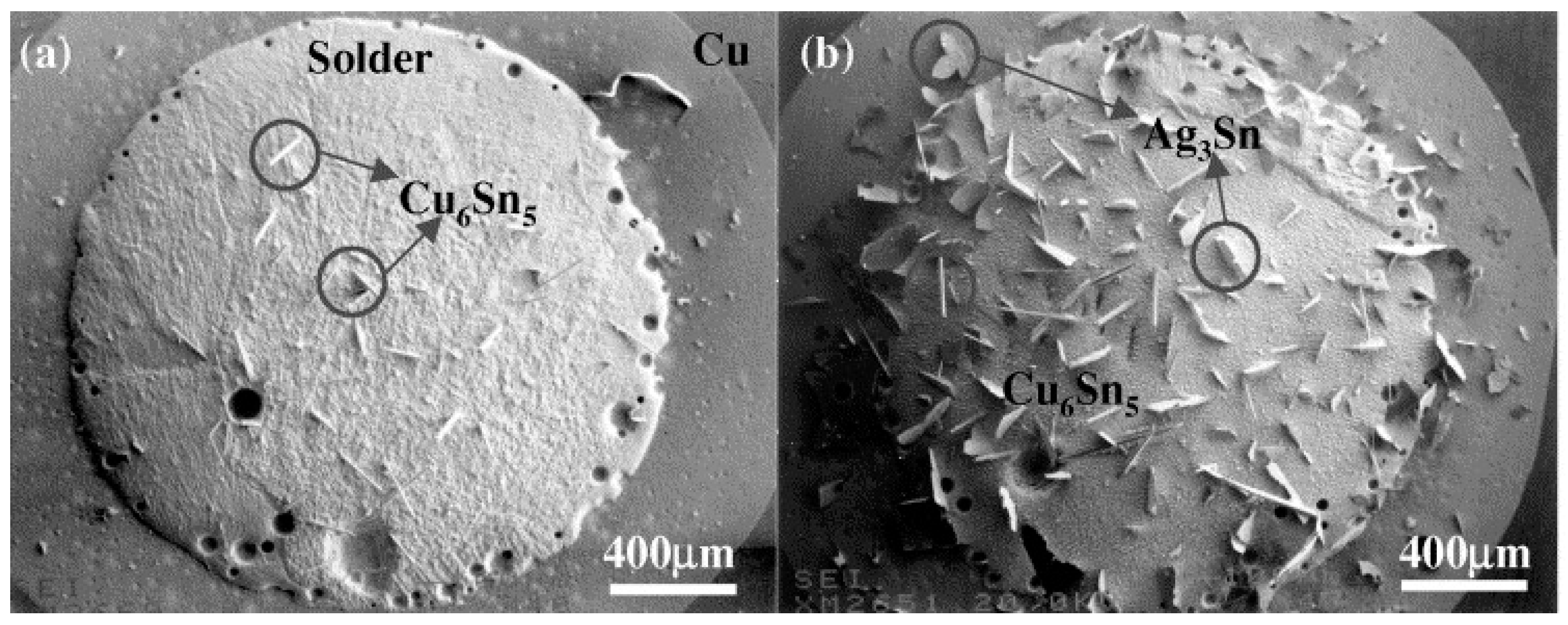 Inorganics 13 00086 g005