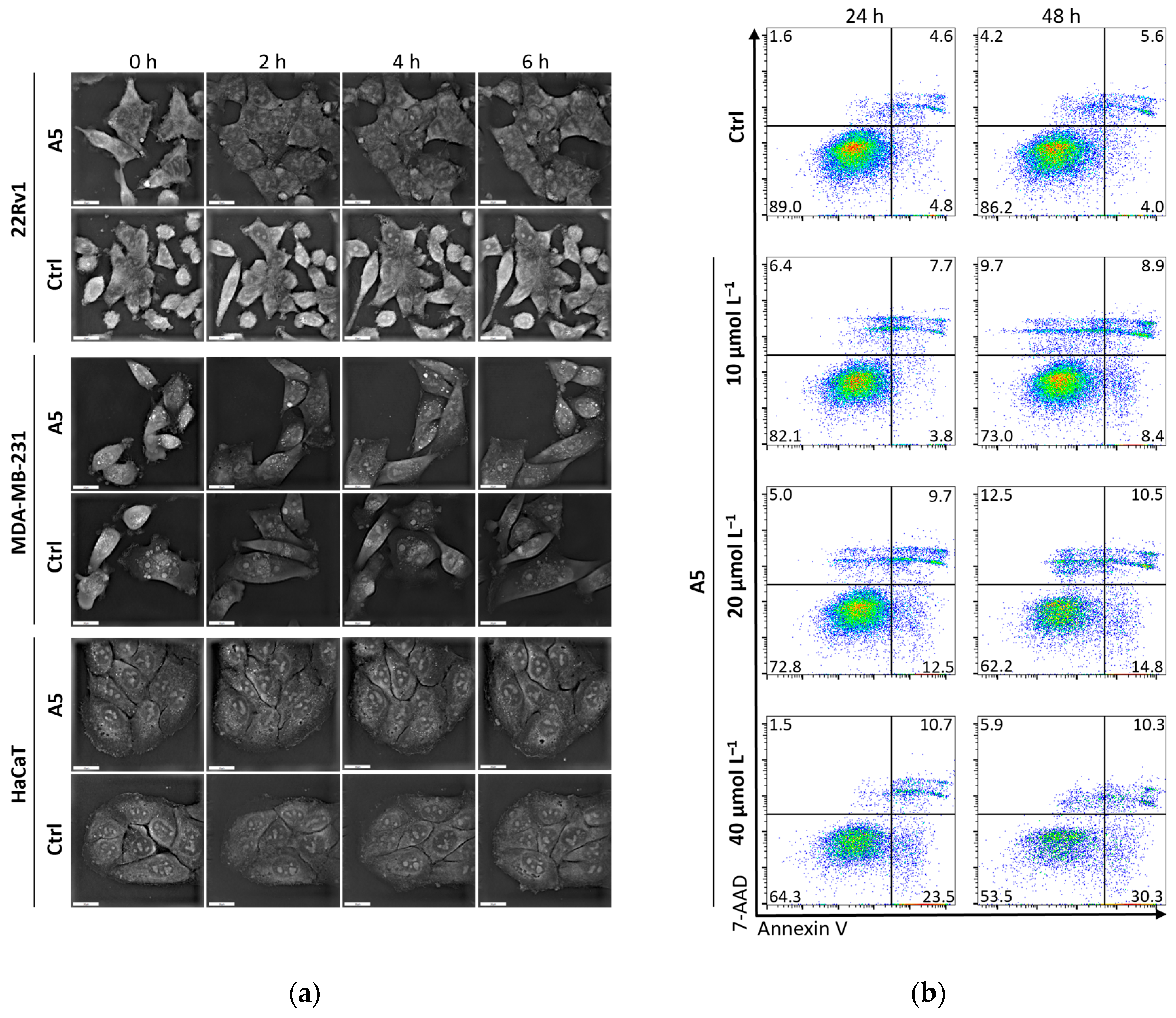 Inorganics 13 00094 g004