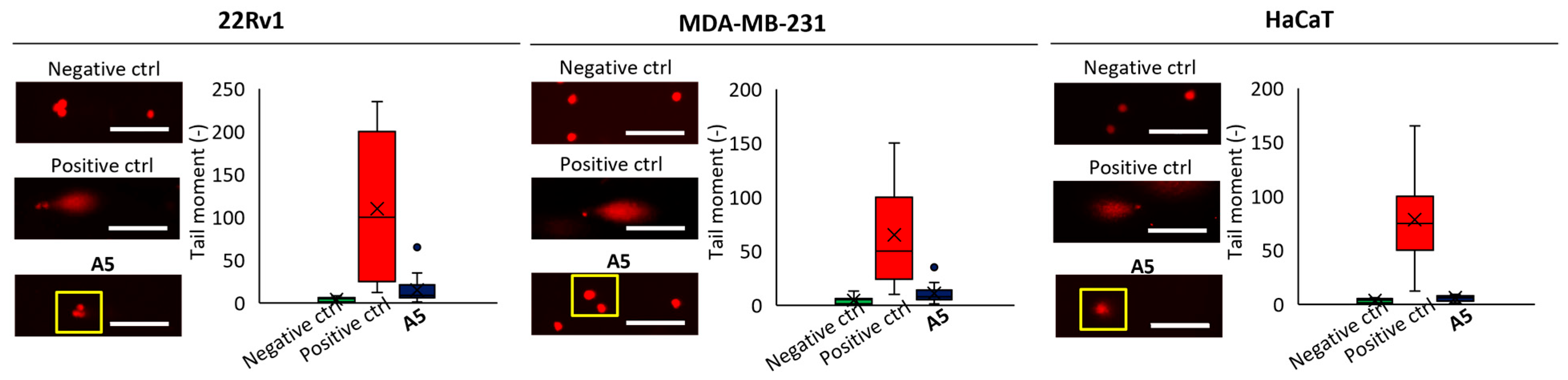 Inorganics 13 00094 g005