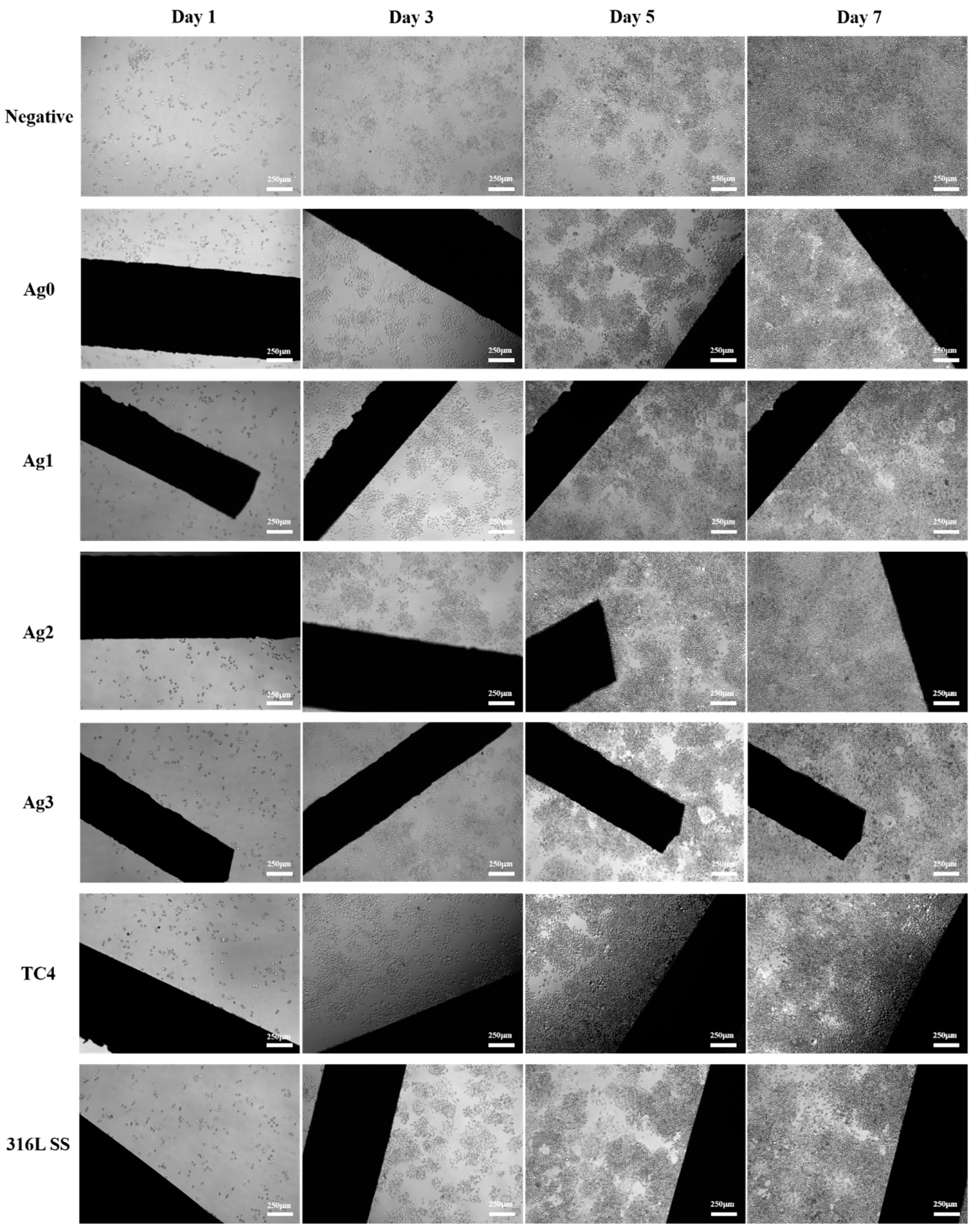 Inorganics 13 00105 g007