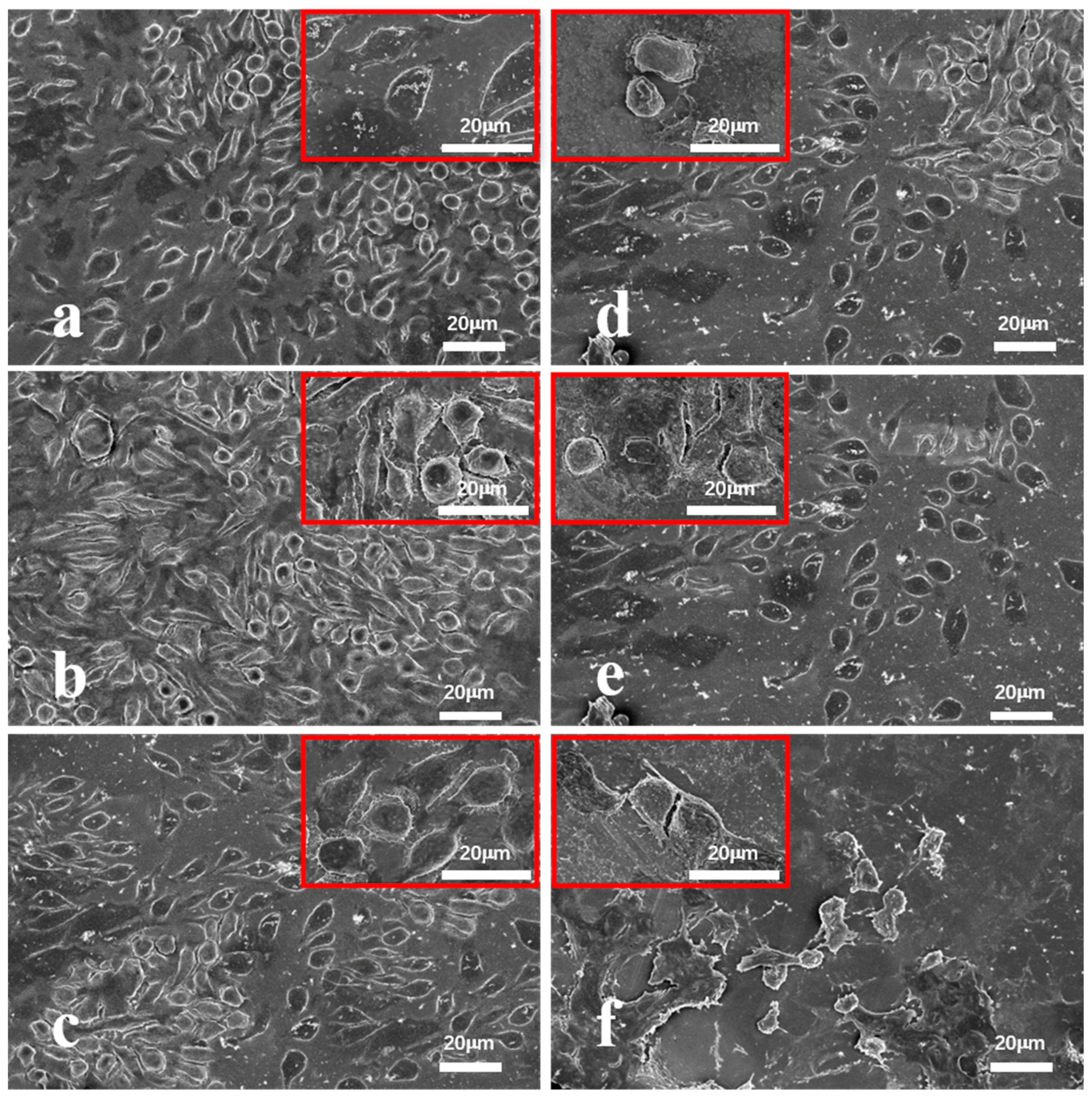 Inorganics 13 00105 g008