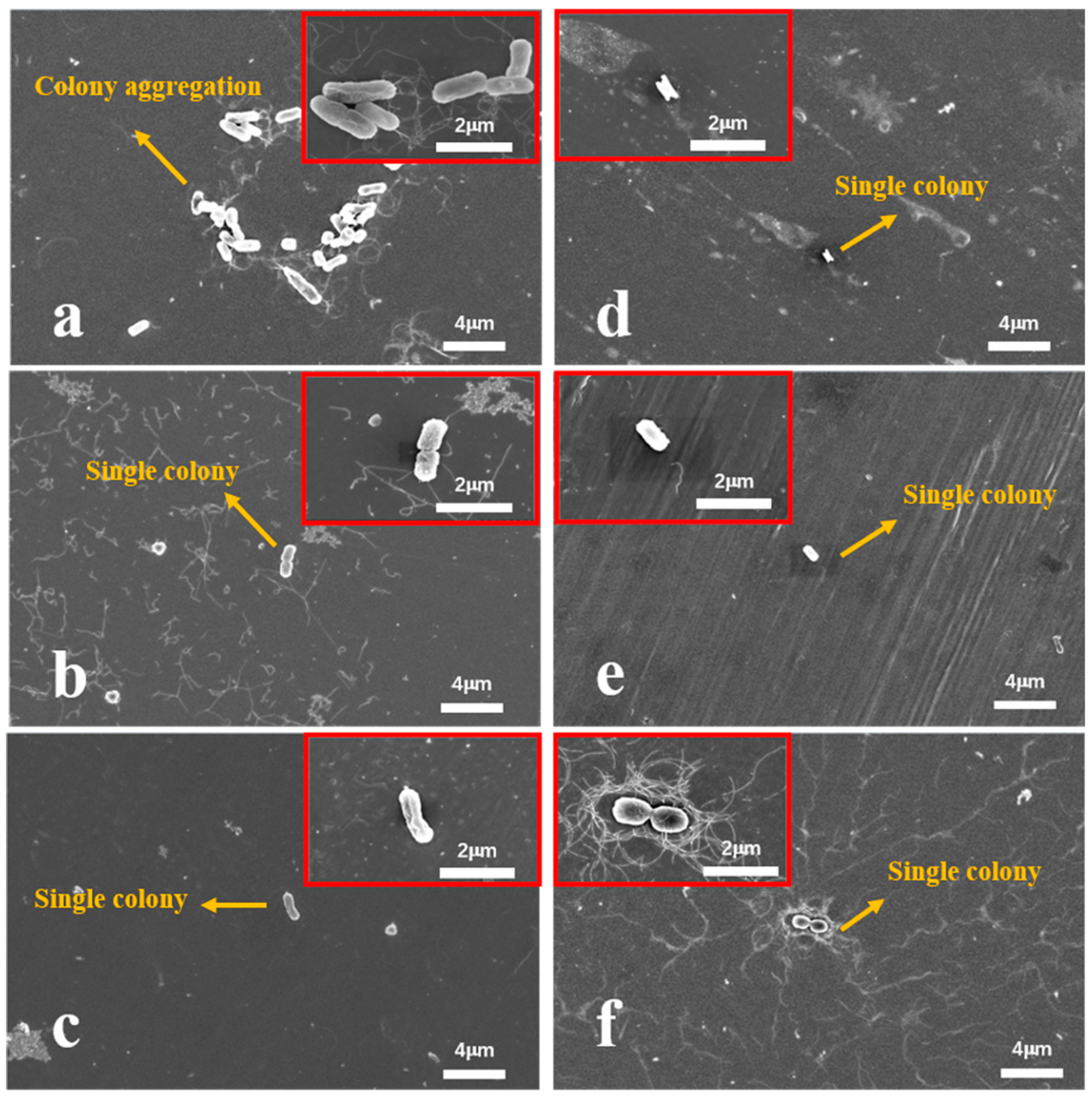 Inorganics 13 00105 g010