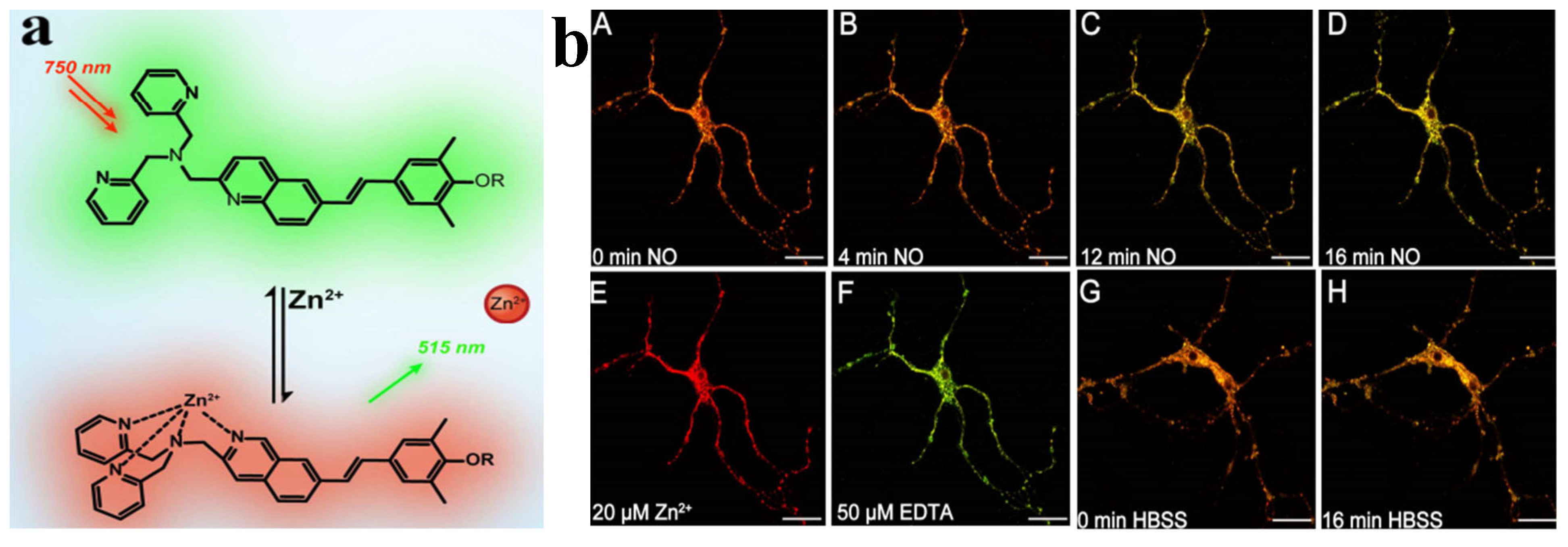 Inorganics 13 00124 g009