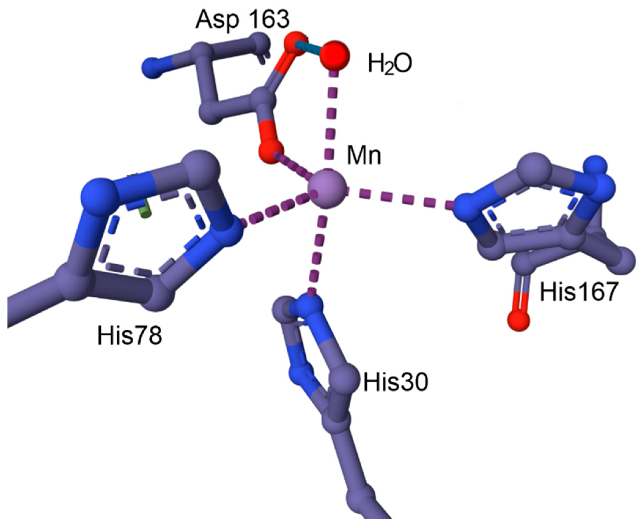Inorganics 13 00137 g012 Inorganics 13 00137 g012