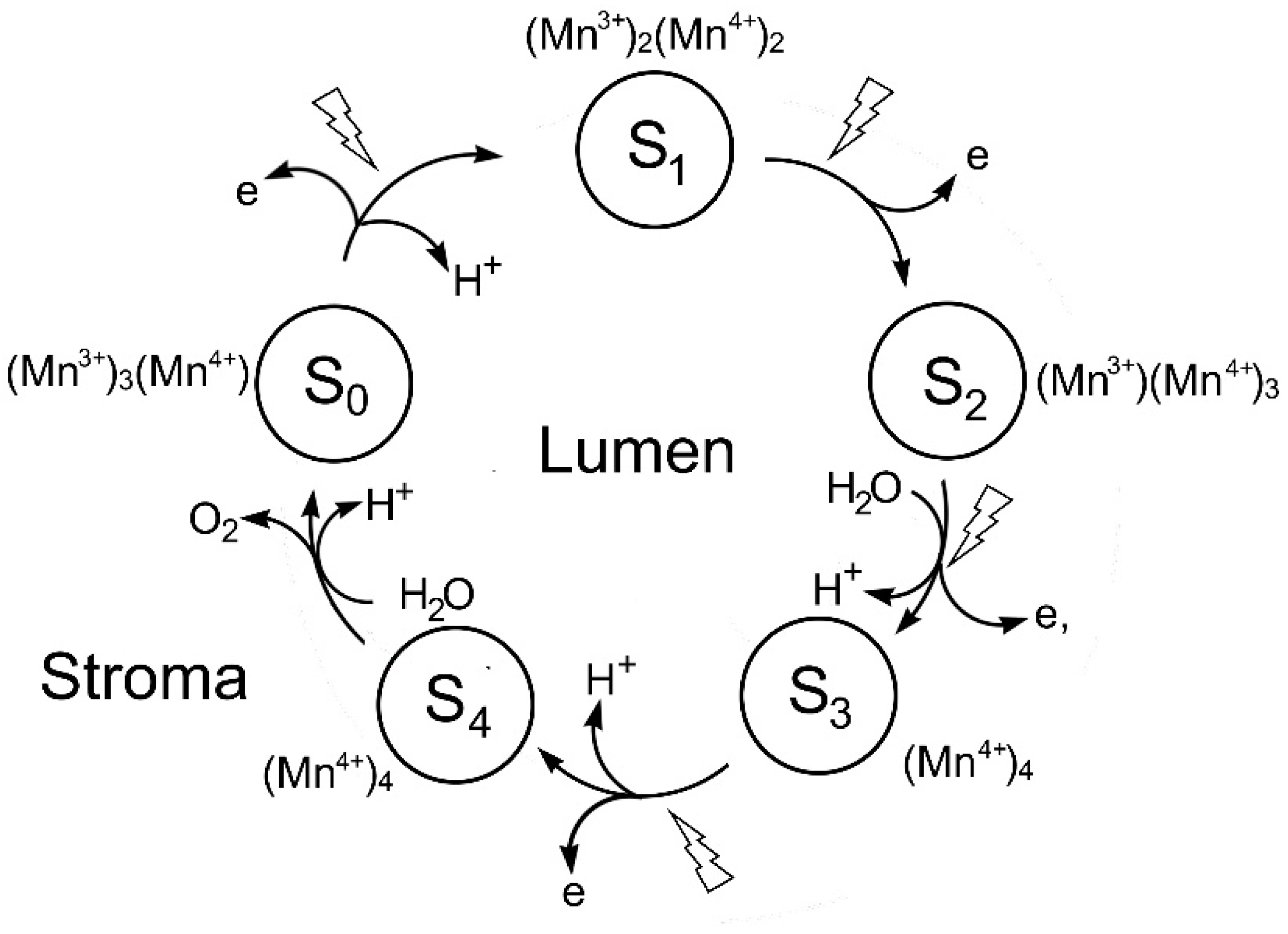 Inorganics 13 00137 g016 Inorganics 13 00137 g016