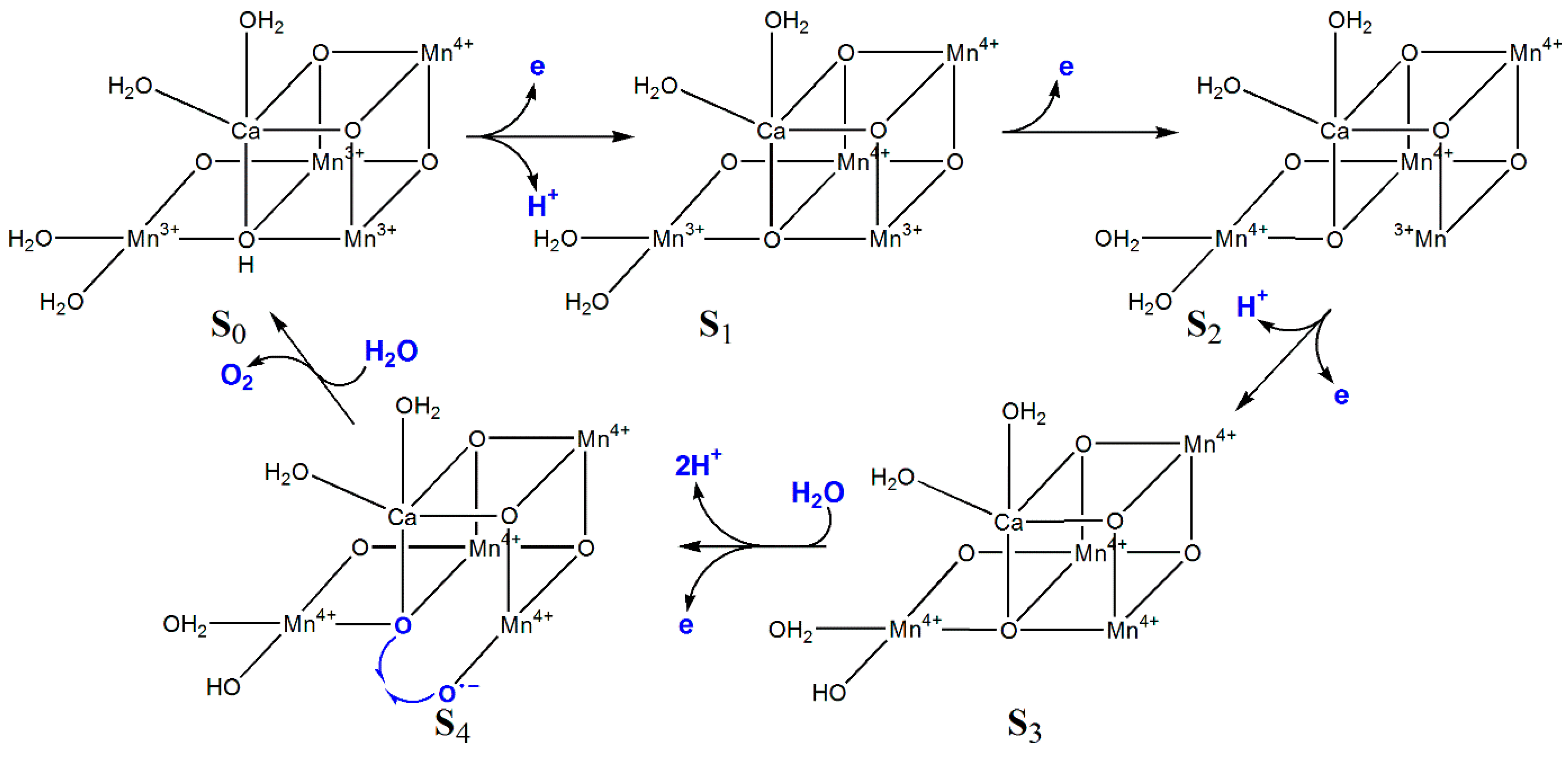Inorganics 13 00137 g017 Inorganics 13 00137 g017
