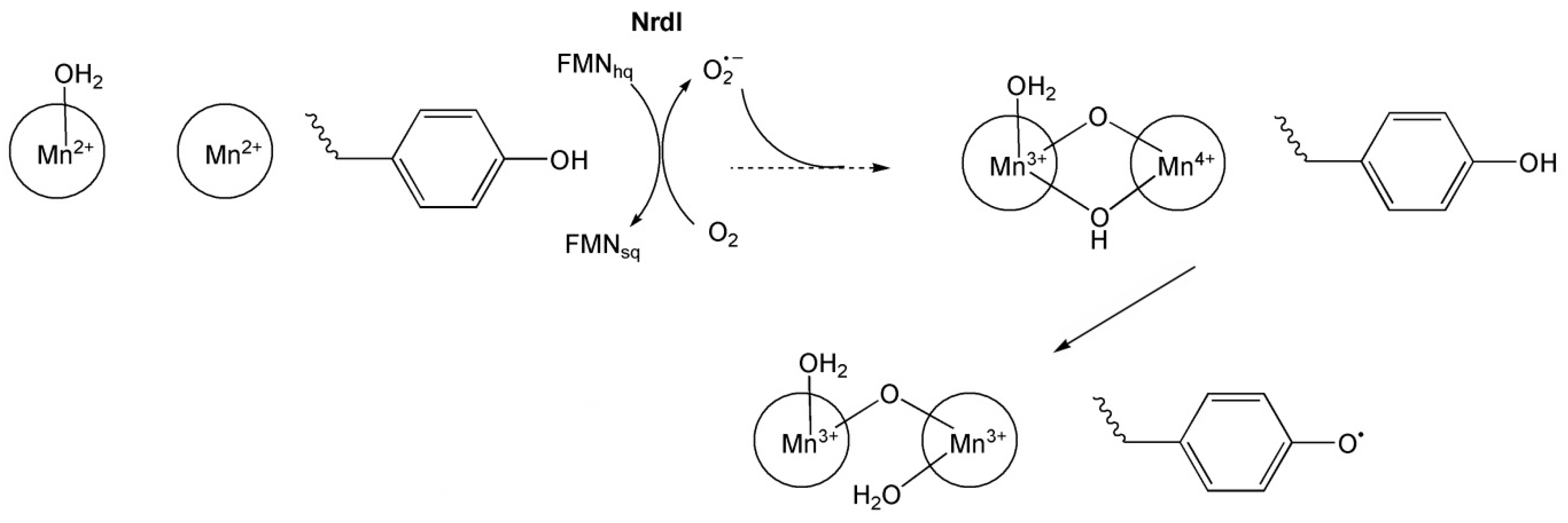 Inorganics 13 00137 g019 Inorganics 13 00137 g019