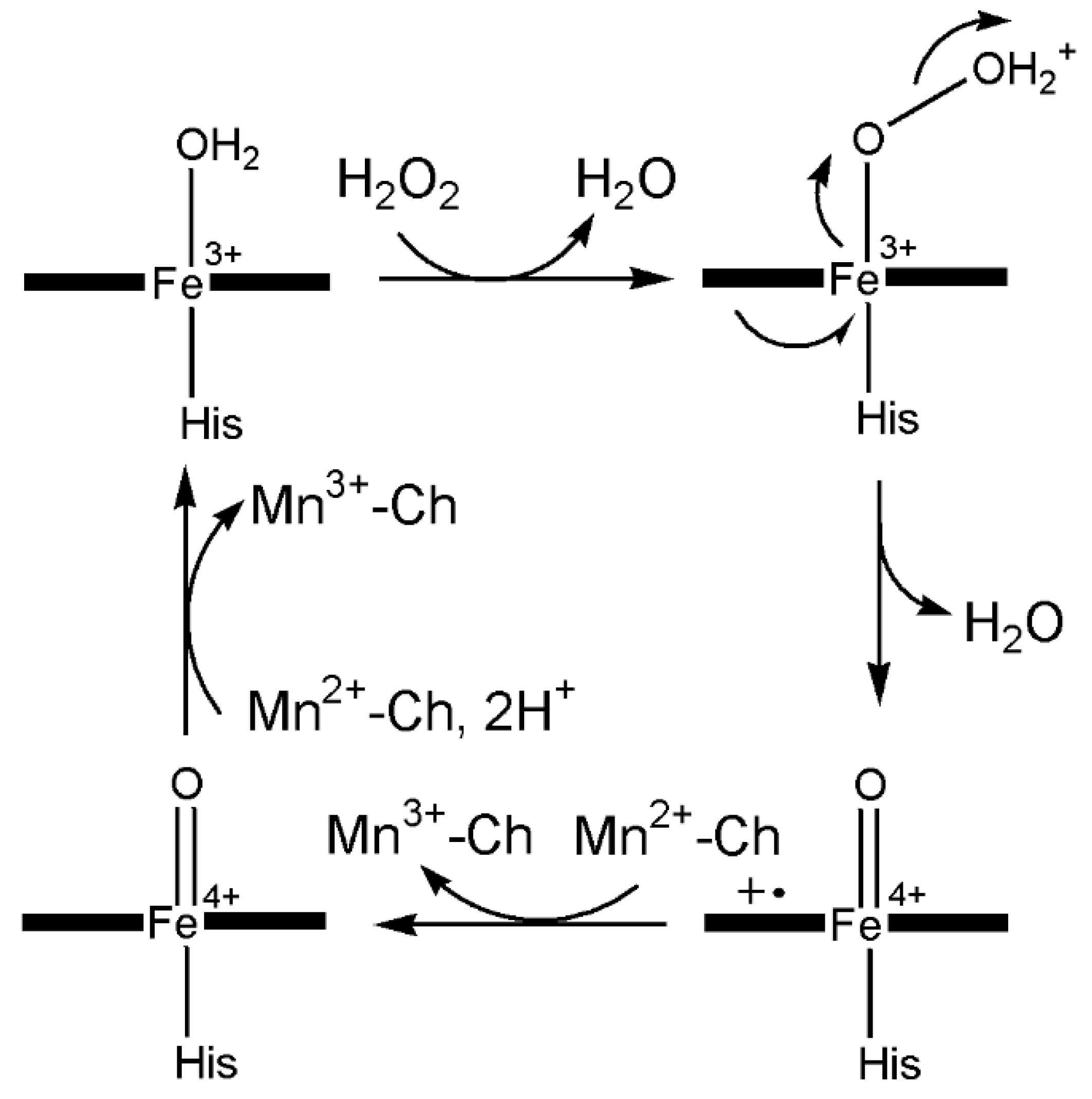 Inorganics 13 00137 g021 Inorganics 13 00137 g021