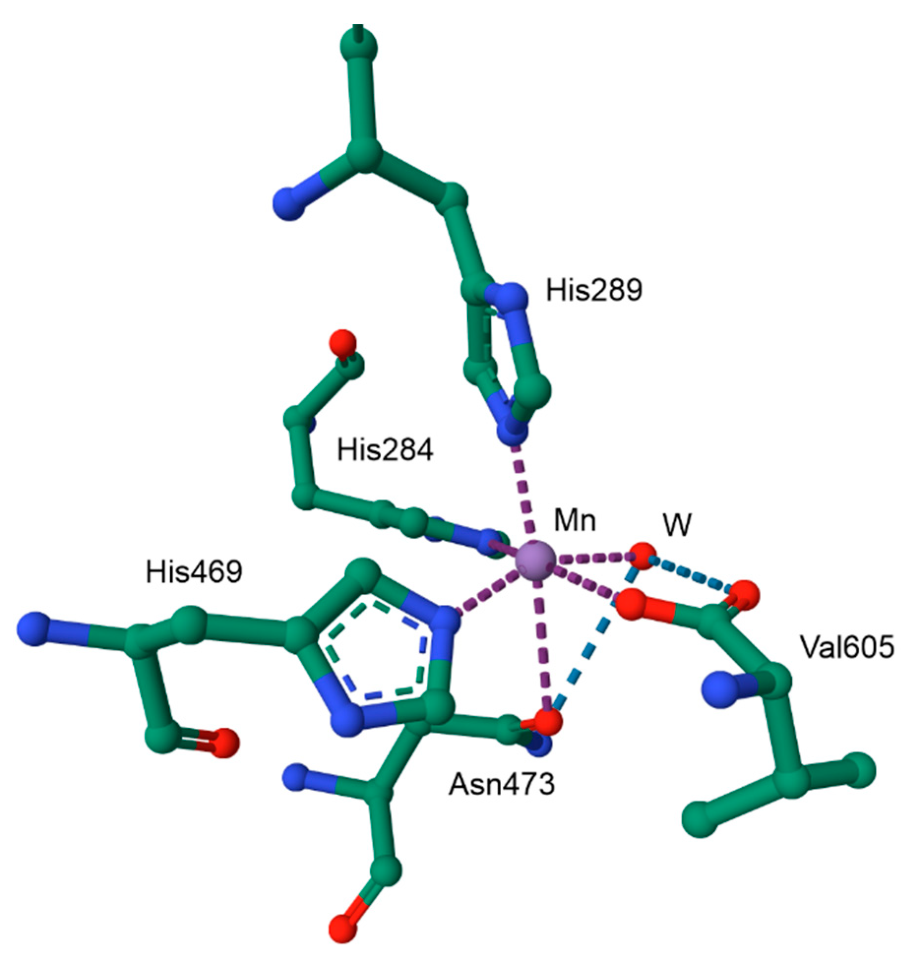 Inorganics 13 00137 g023 Inorganics 13 00137 g023