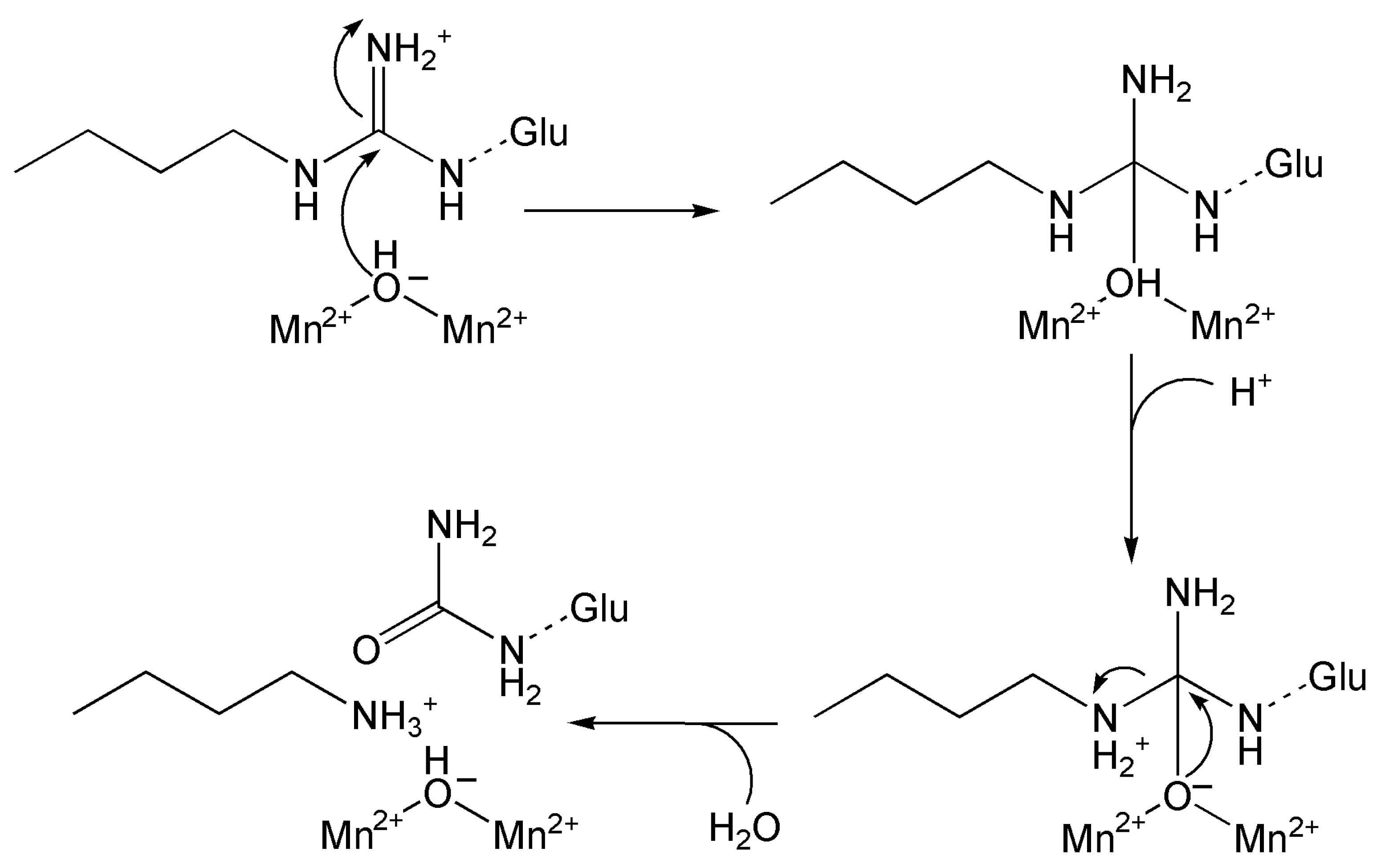 Inorganics 13 00137 g026 Inorganics 13 00137 g026