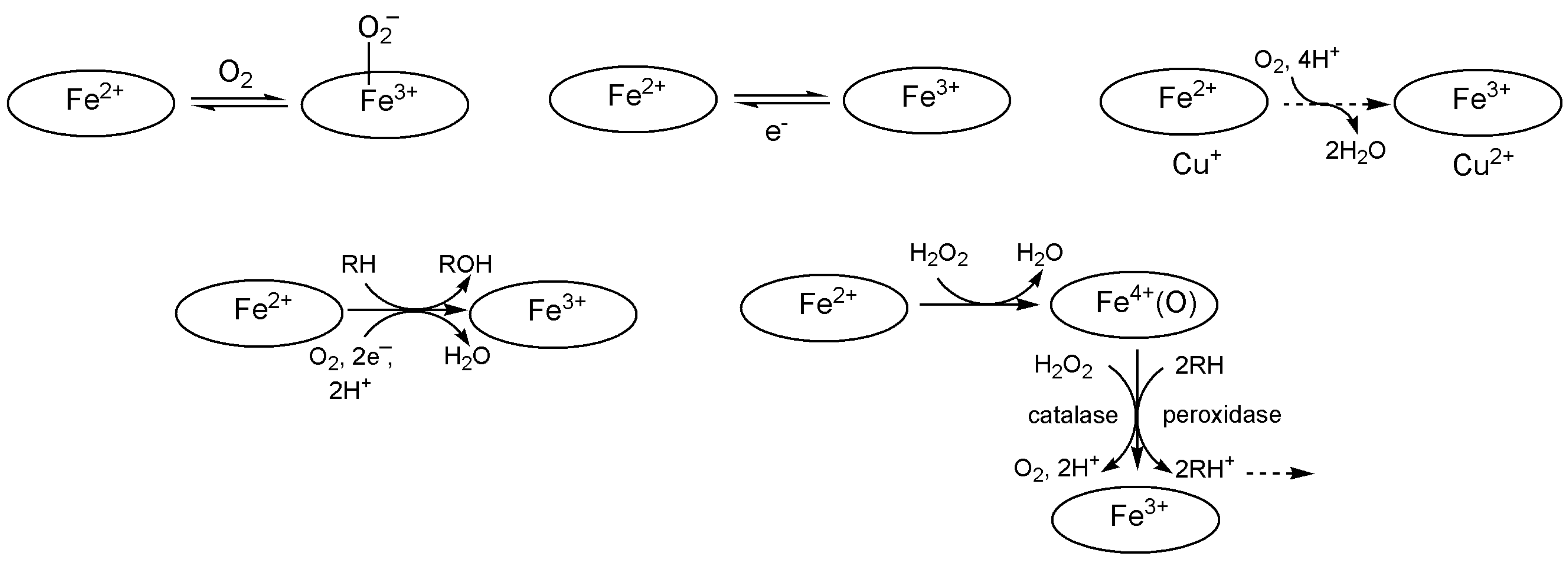 Inorganics 13 00137 g027 Inorganics 13 00137 g027