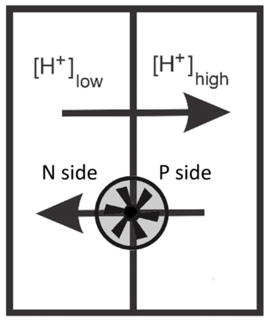 Inorganics 13 00137 g034 Inorganics 13 00137 g034