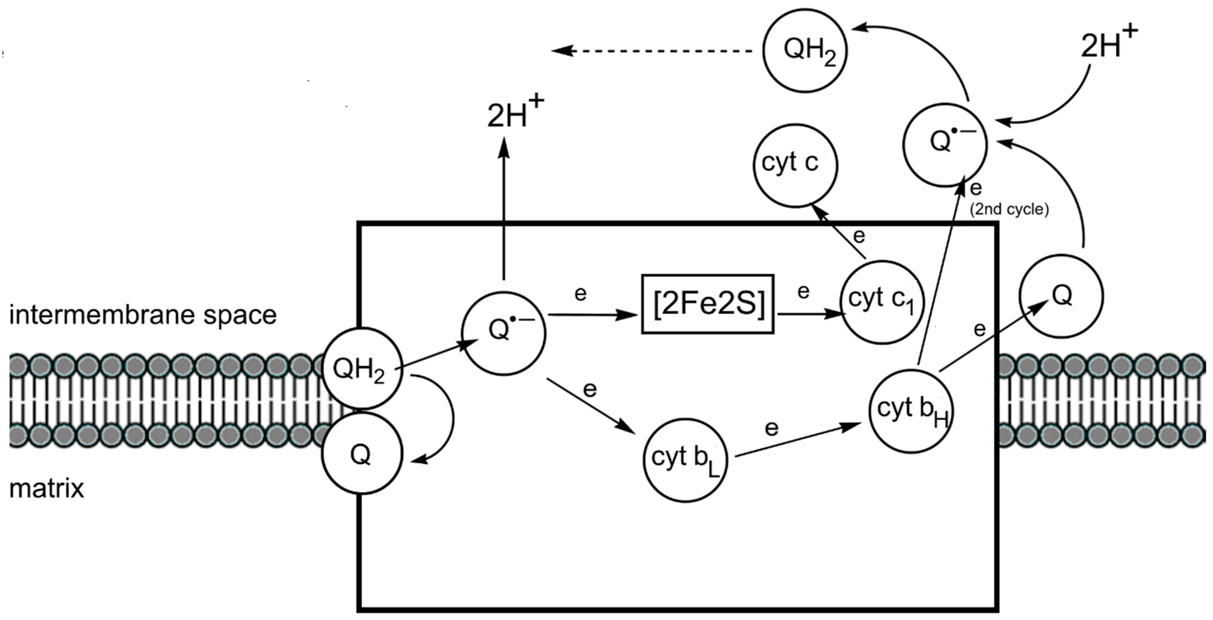 Inorganics 13 00137 g038 Inorganics 13 00137 g038