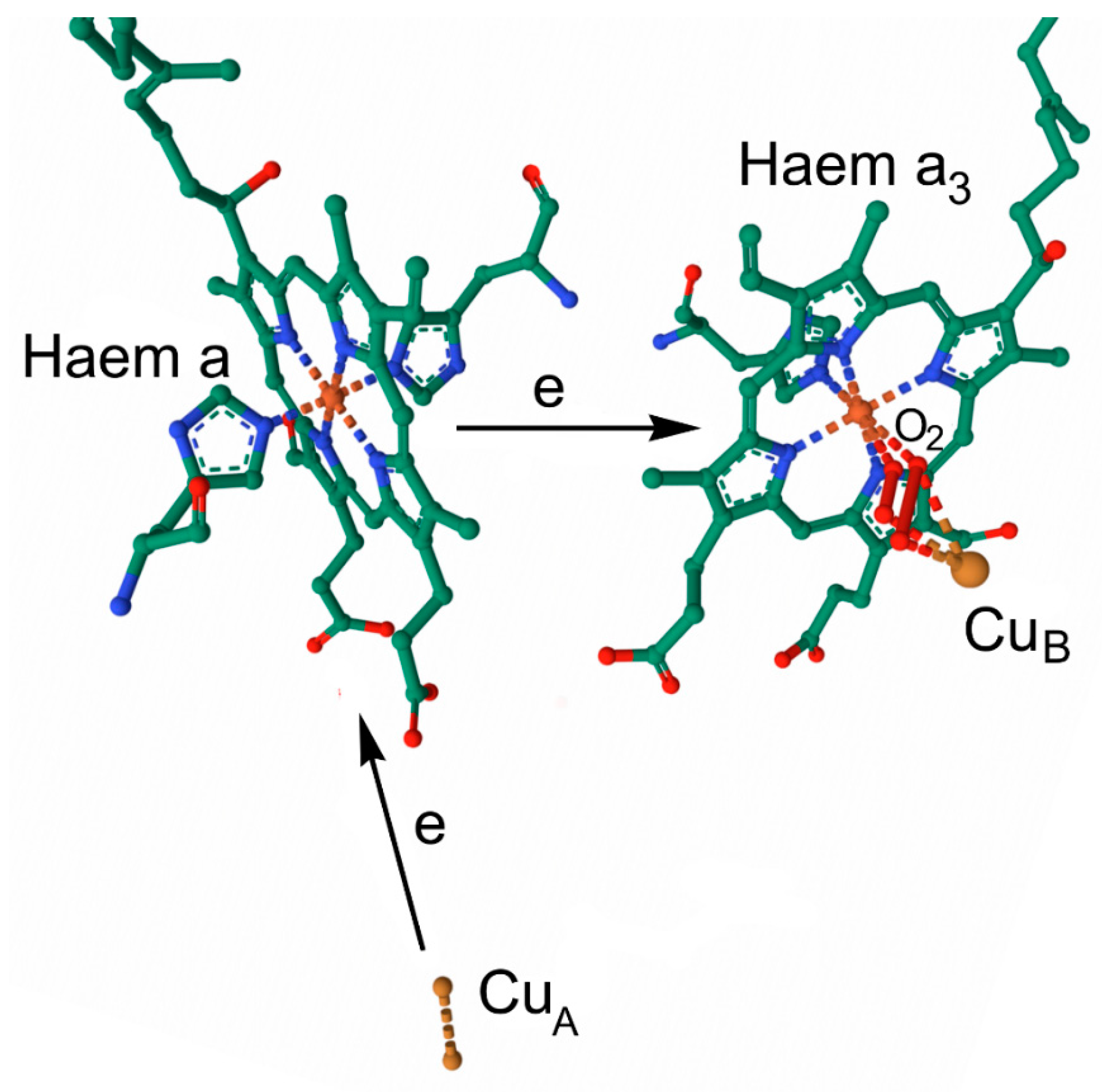 Inorganics 13 00137 g039 Inorganics 13 00137 g039