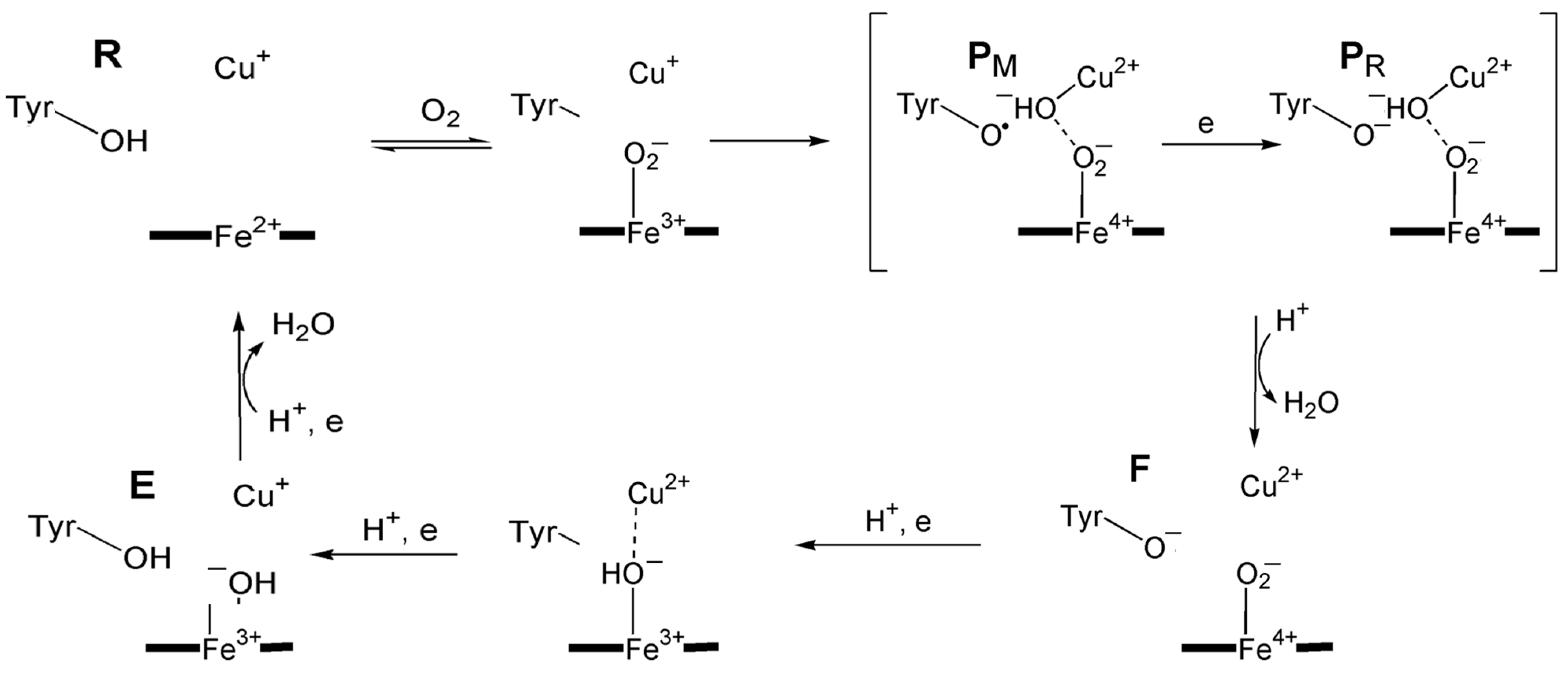 Inorganics 13 00137 g040 Inorganics 13 00137 g040