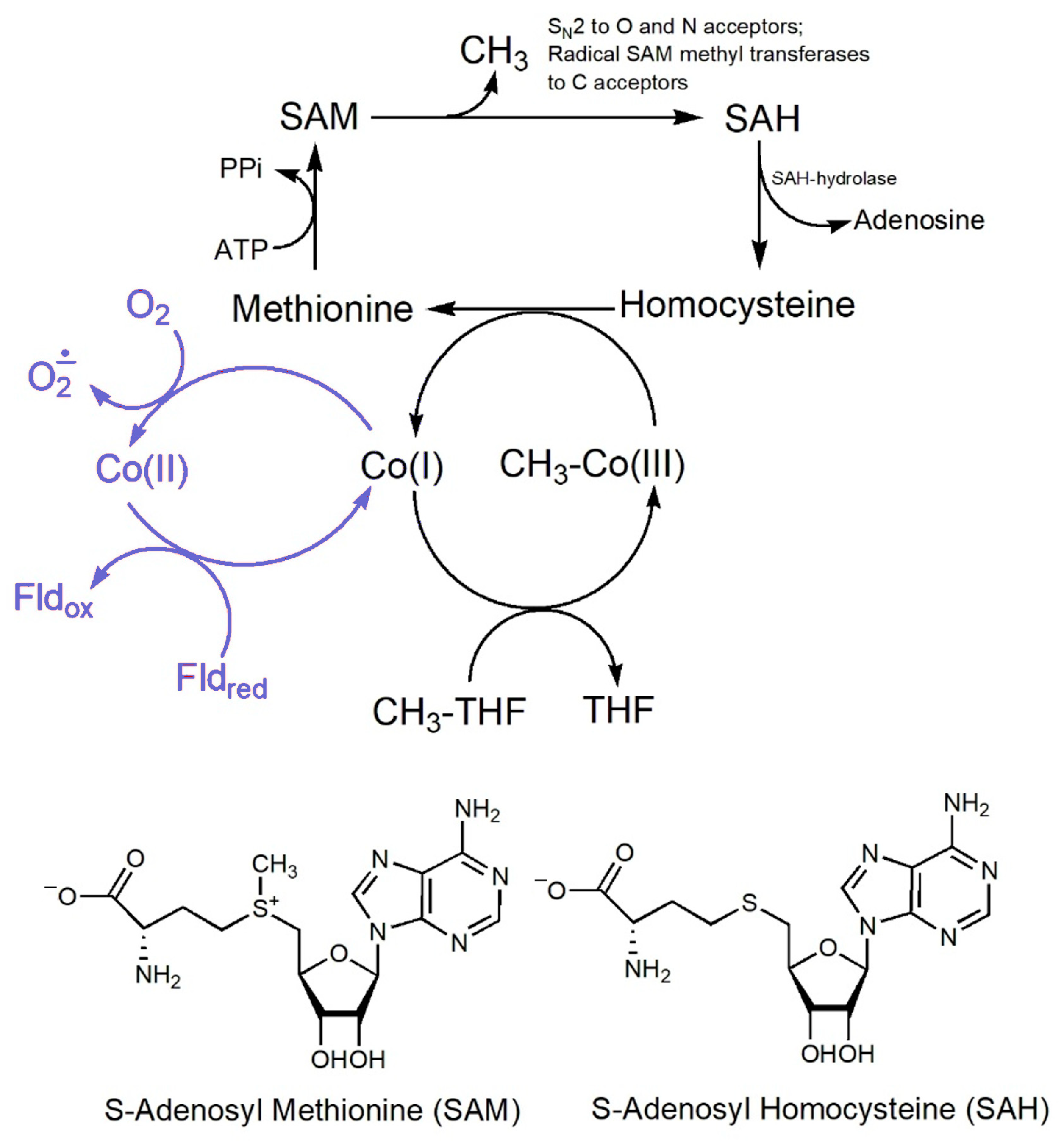 Inorganics 13 00137 g044 Inorganics 13 00137 g044
