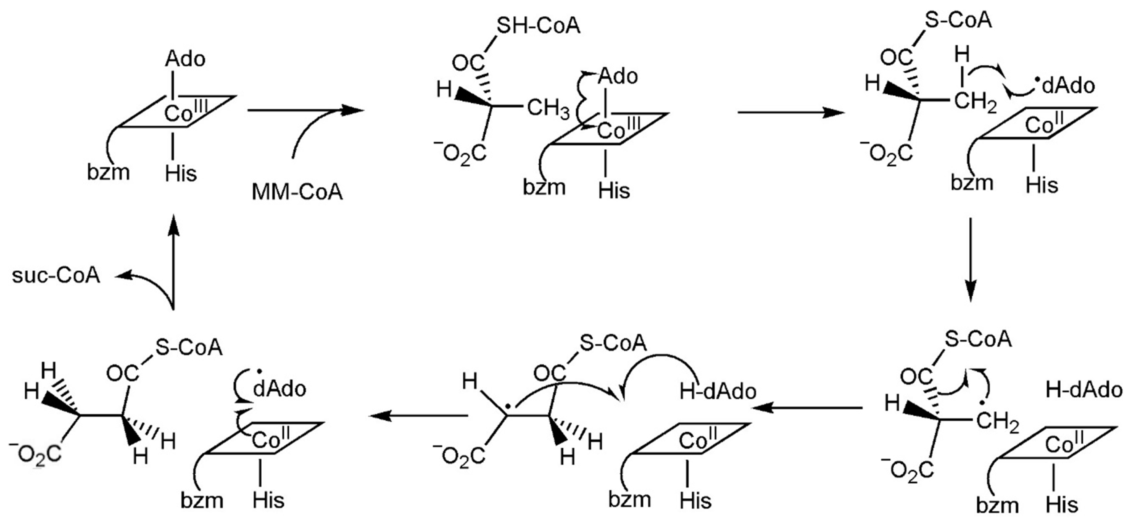 Inorganics 13 00137 g045 Inorganics 13 00137 g045