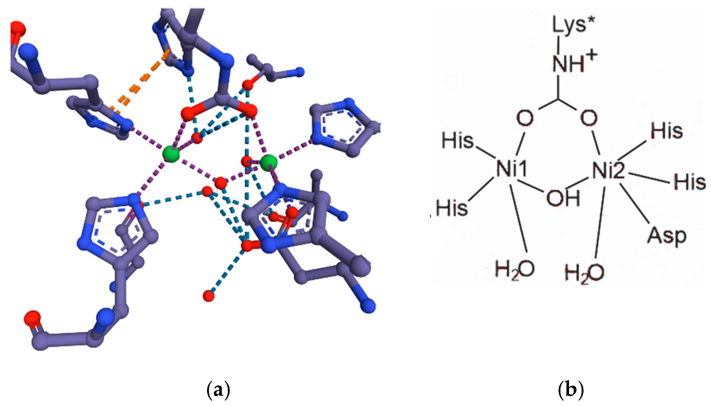 Inorganics 13 00137 g047 Inorganics 13 00137 g047