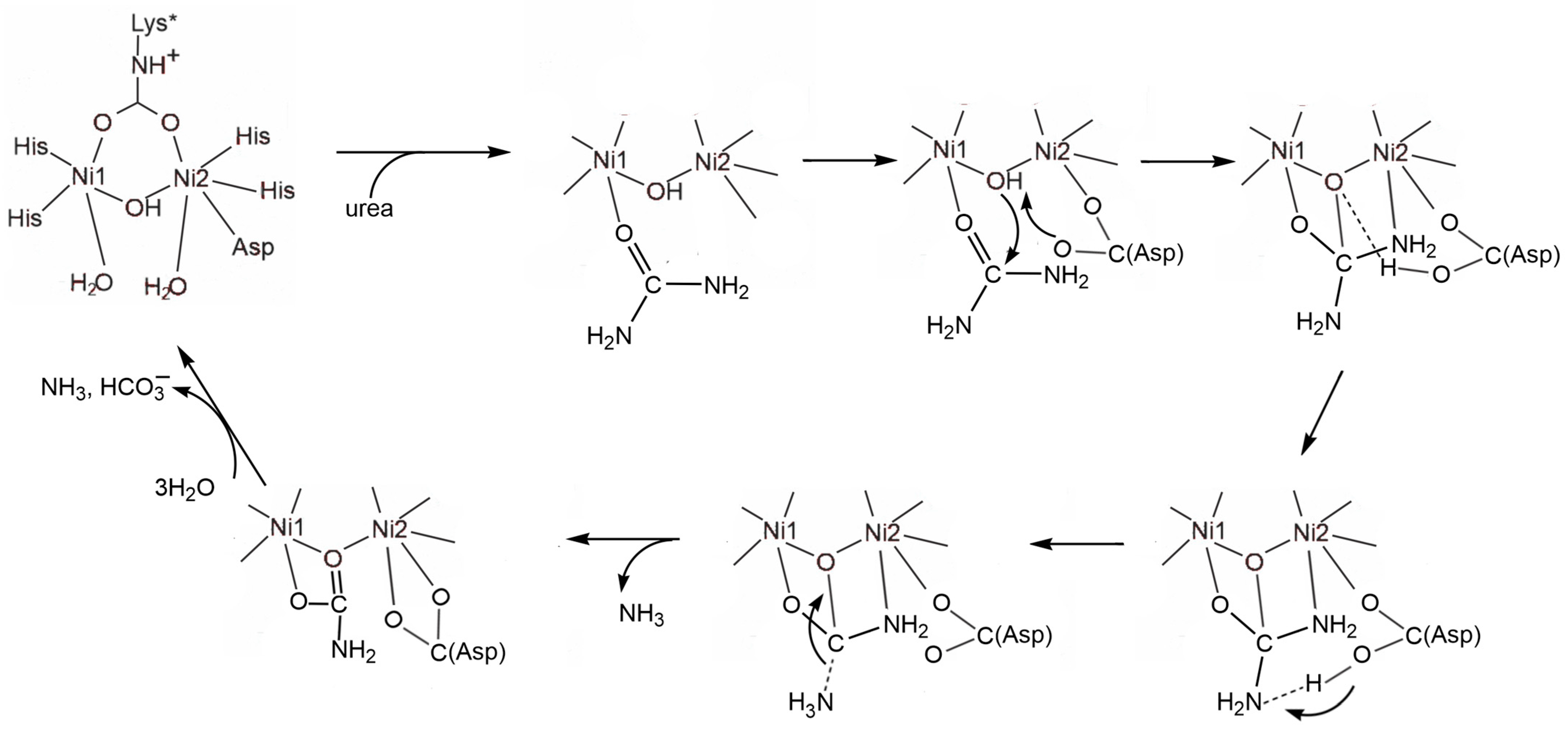 Inorganics 13 00137 g048 Inorganics 13 00137 g048