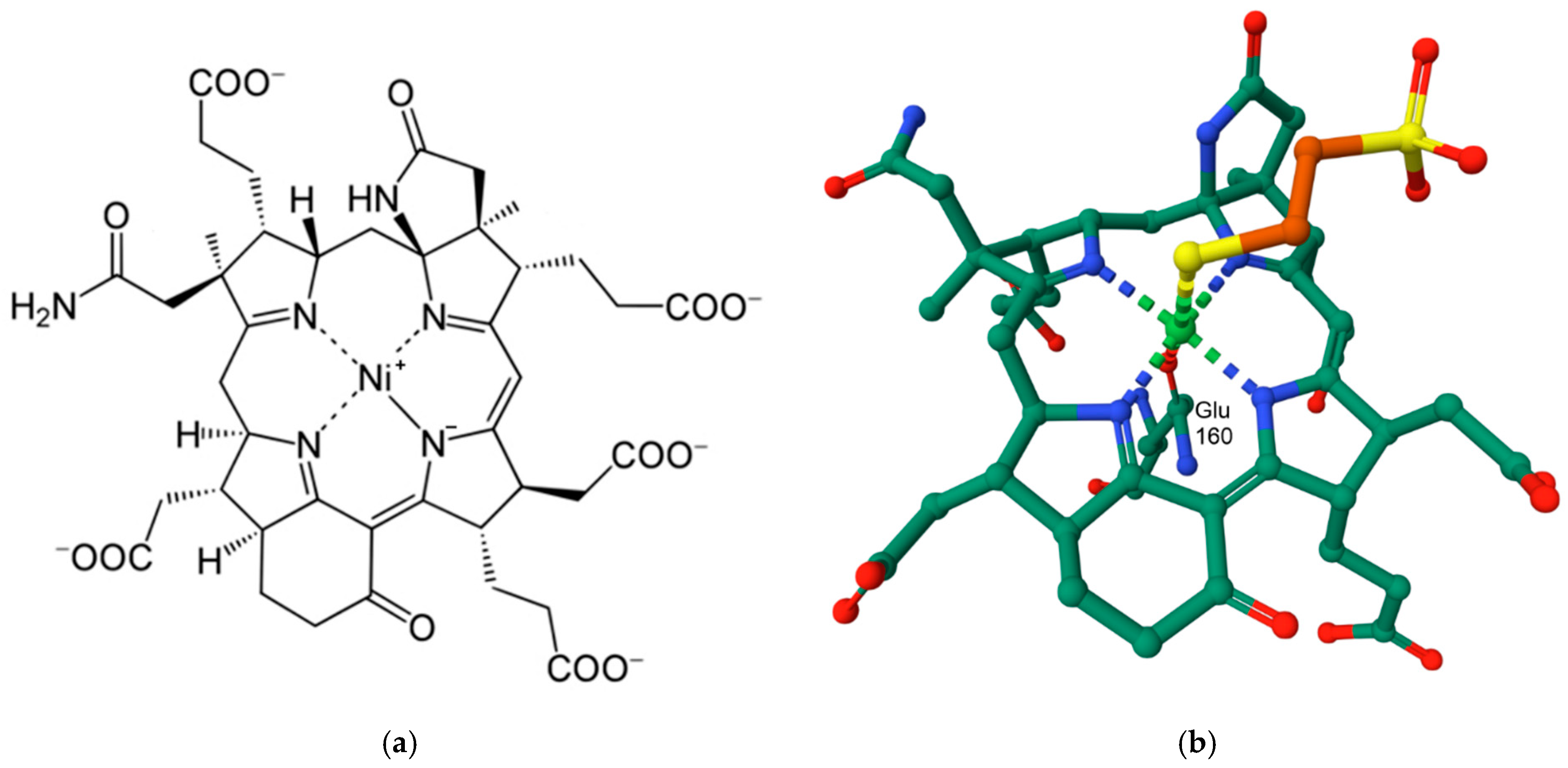Inorganics 13 00137 g049 Inorganics 13 00137 g049