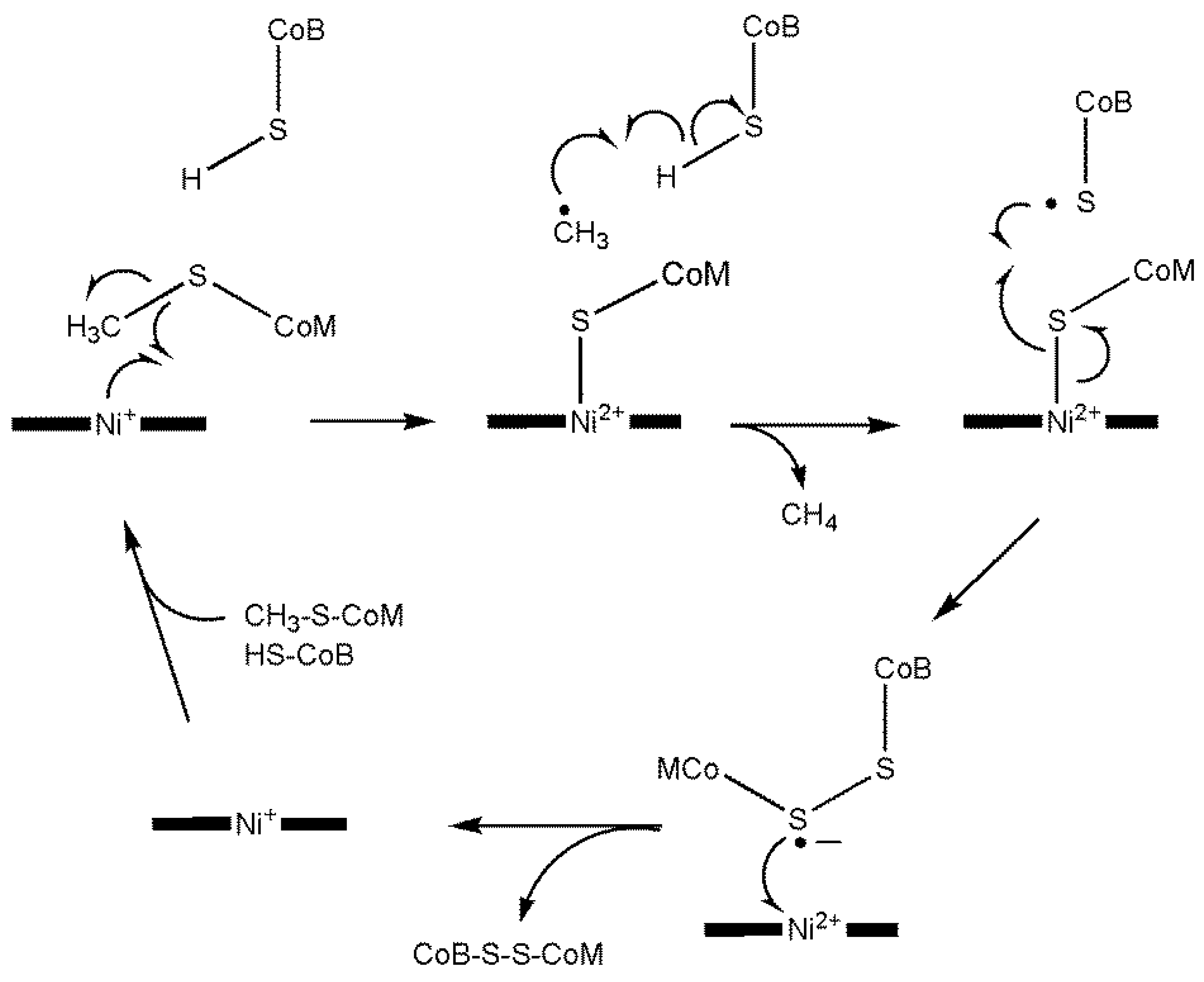 Inorganics 13 00137 g050 Inorganics 13 00137 g050