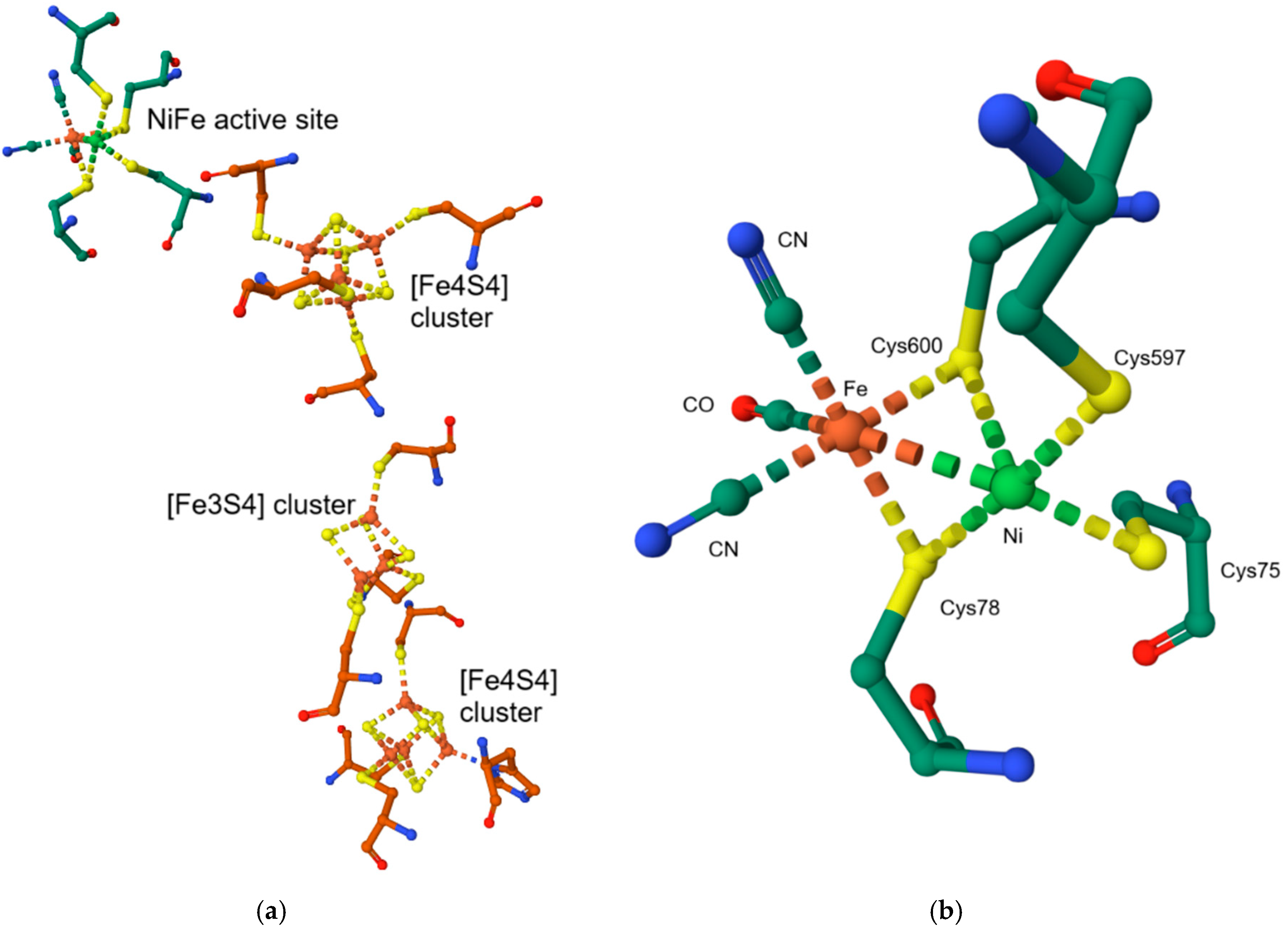 Inorganics 13 00137 g051 Inorganics 13 00137 g051