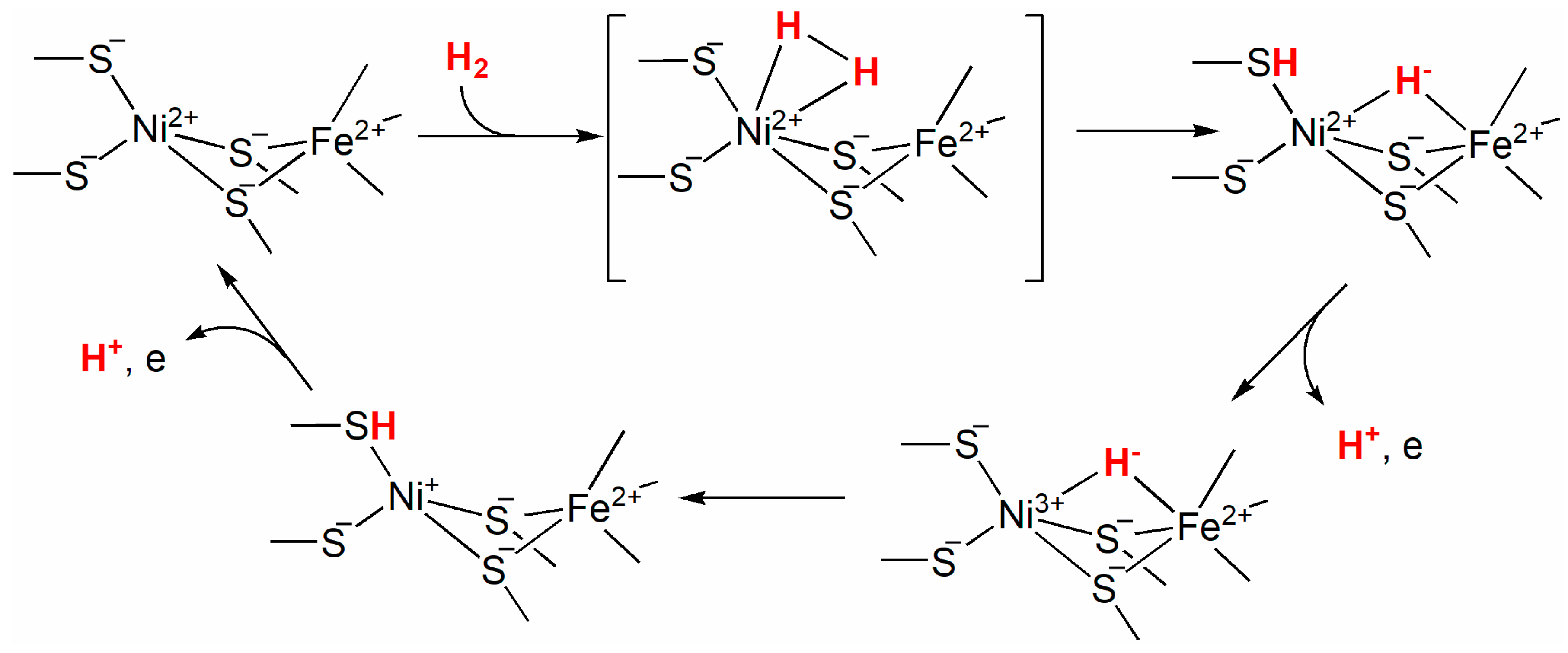 Inorganics 13 00137 g052 Inorganics 13 00137 g052