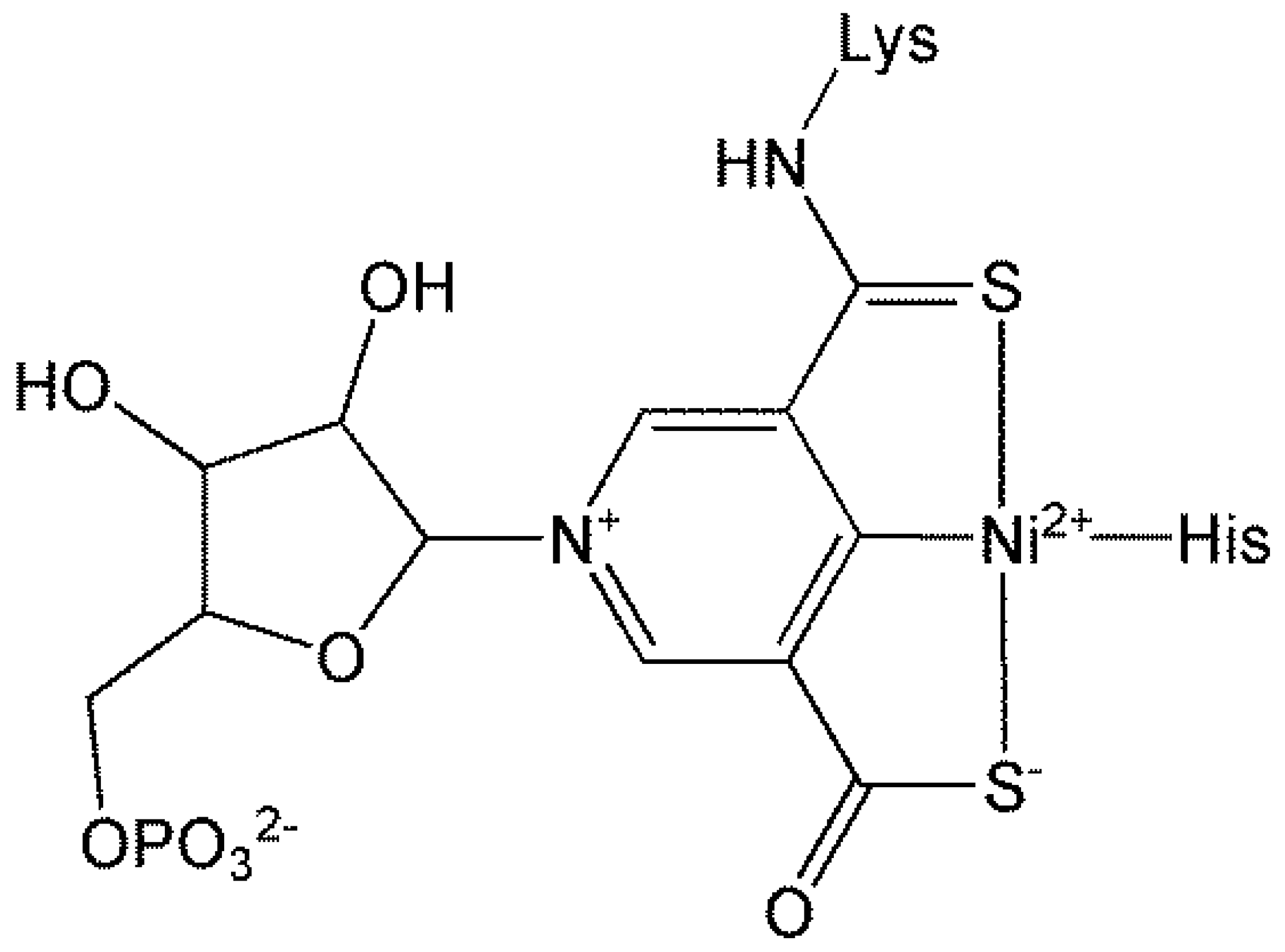 Inorganics 13 00137 g053 Inorganics 13 00137 g053