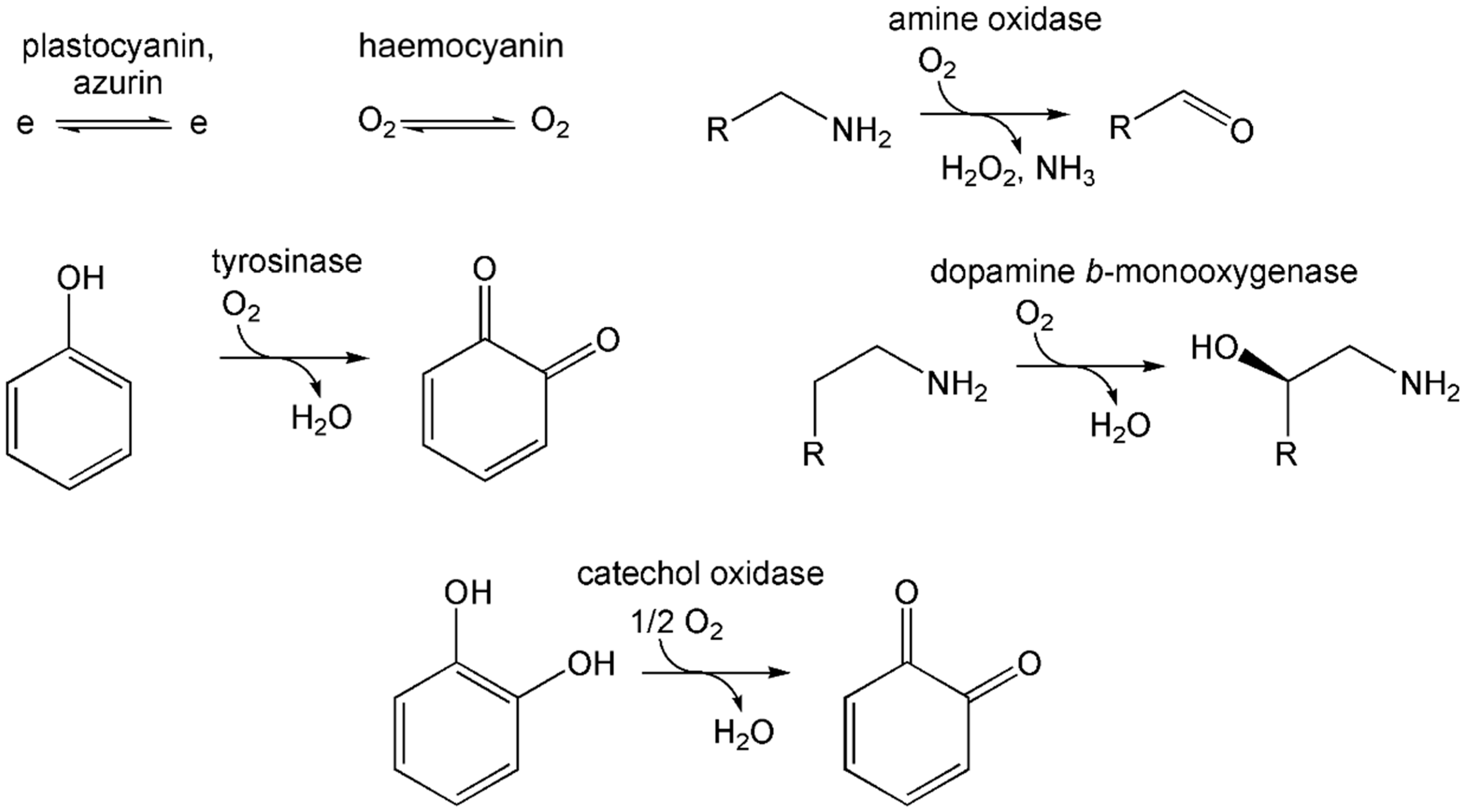 Inorganics 13 00137 g055 Inorganics 13 00137 g055