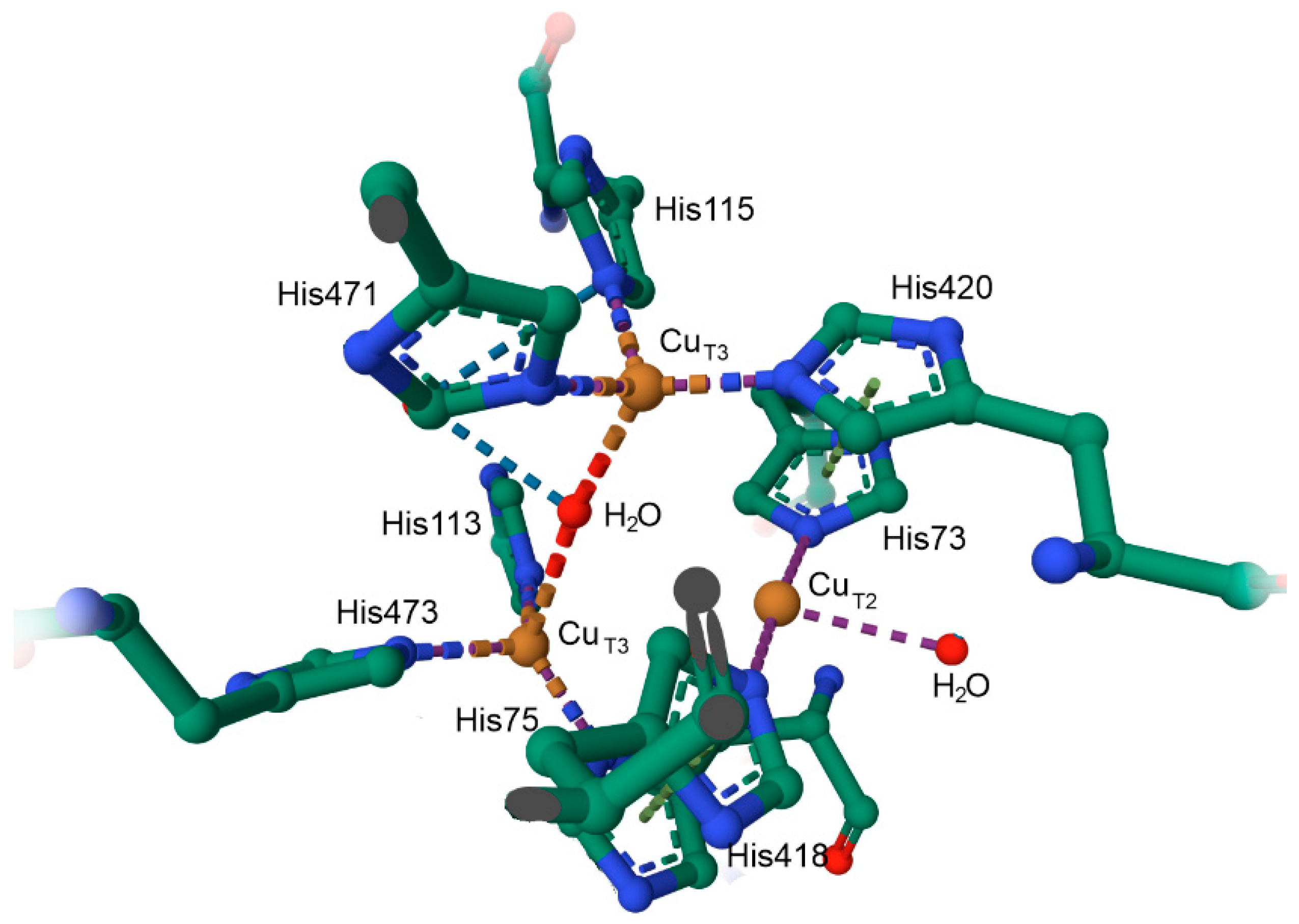 Inorganics 13 00137 g058 Inorganics 13 00137 g058
