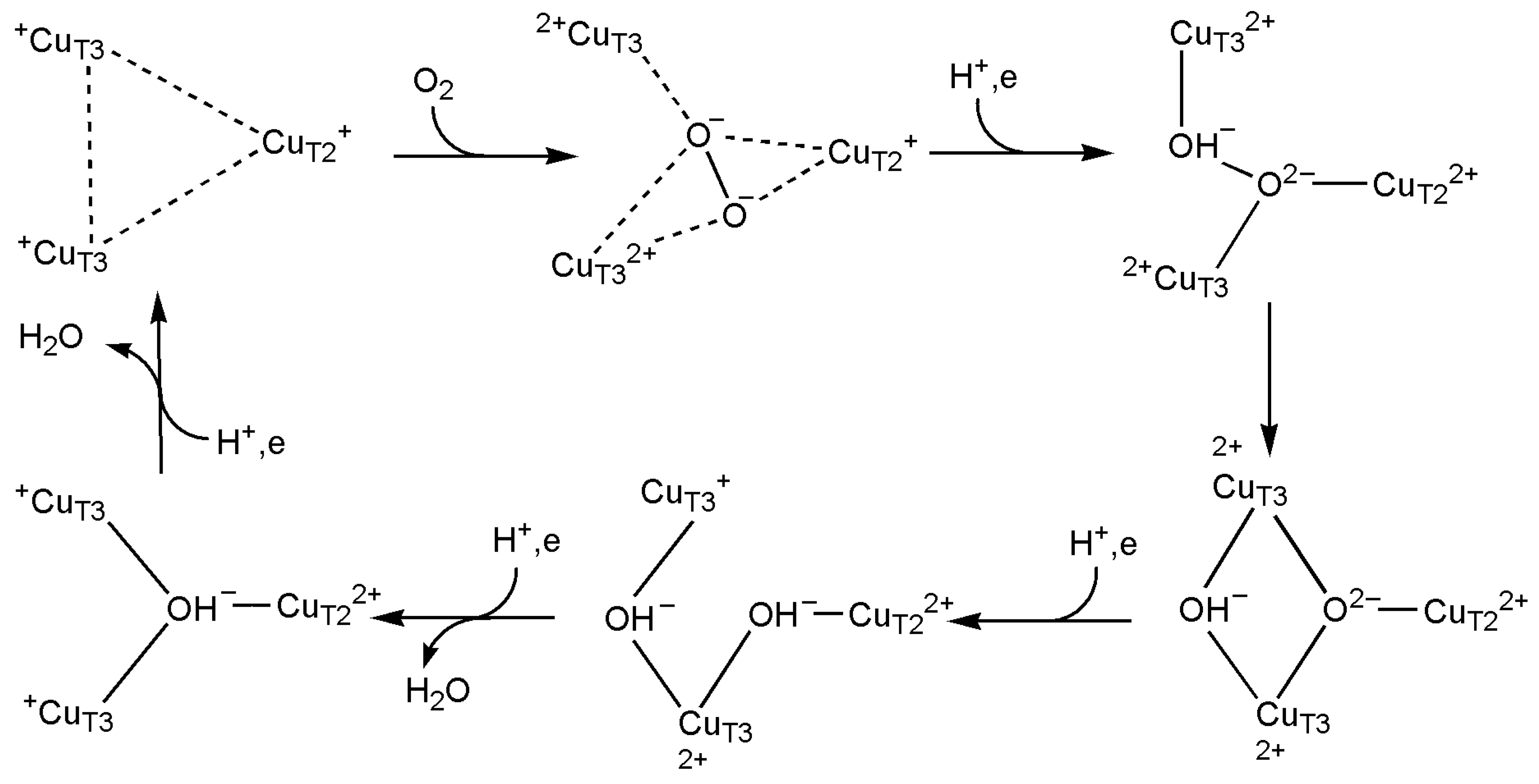 Inorganics 13 00137 g059 Inorganics 13 00137 g059