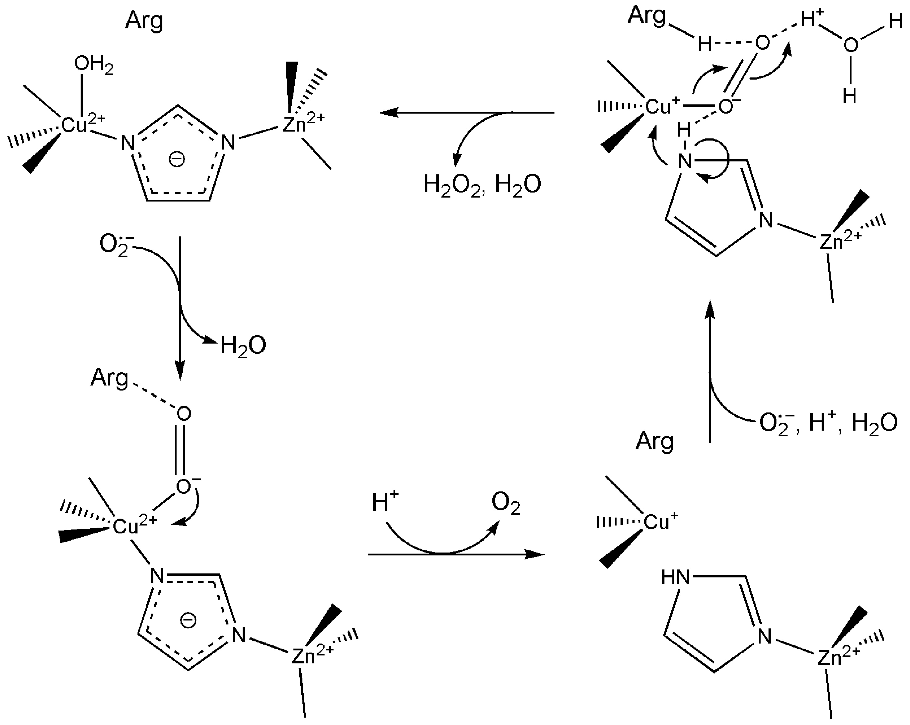 Inorganics 13 00137 g061 Inorganics 13 00137 g061
