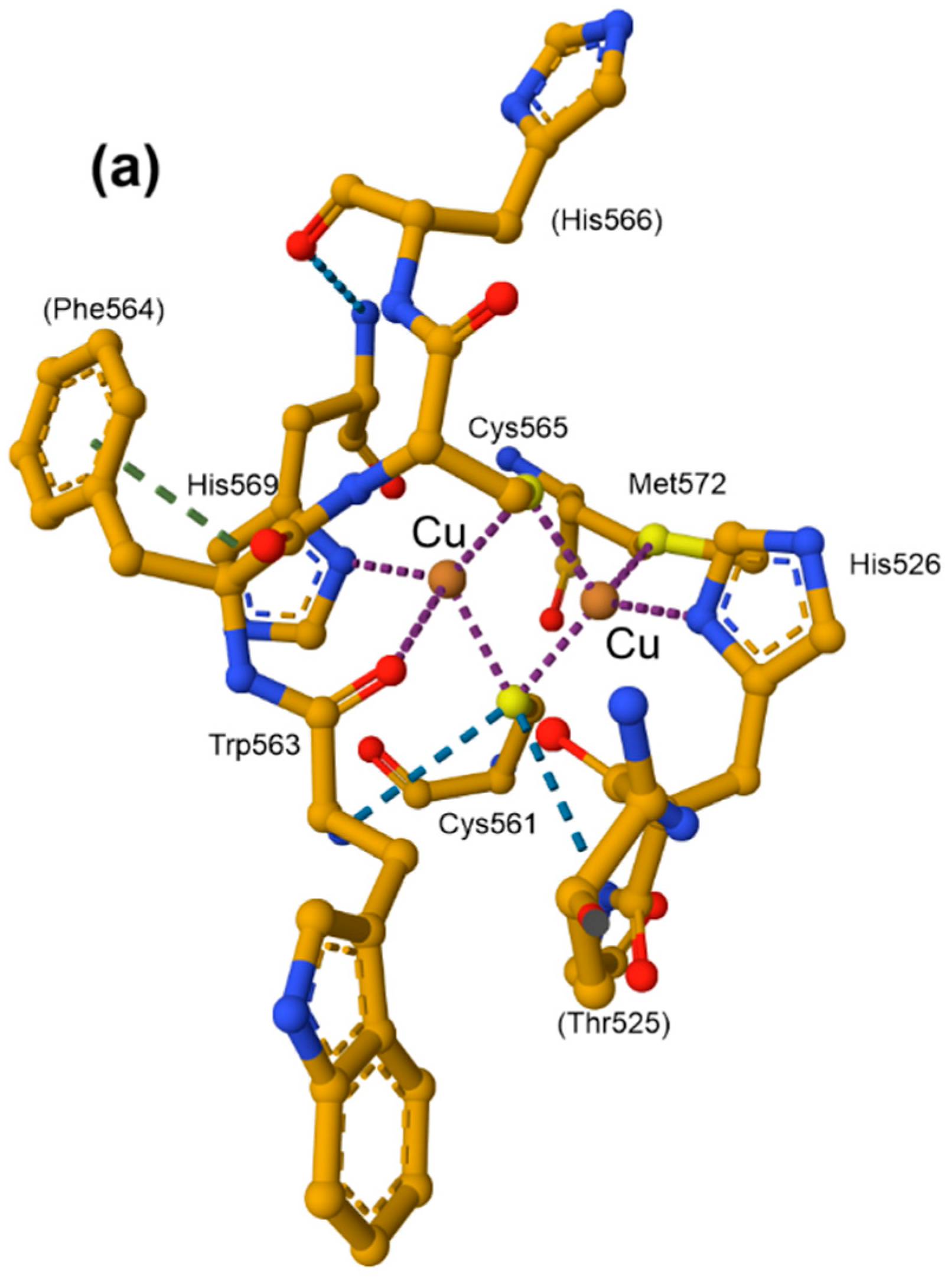Inorganics 13 00137 g062a Inorganics 13 00137 g062a