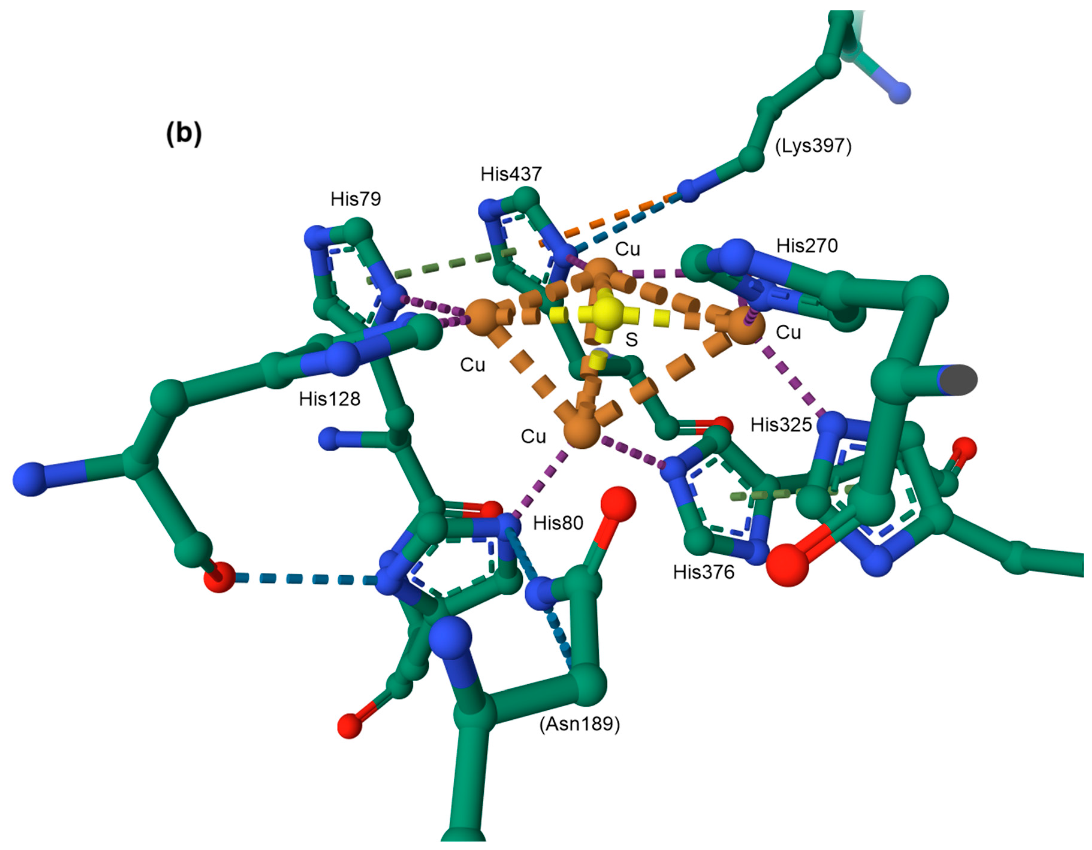 Inorganics 13 00137 g062b Inorganics 13 00137 g062b