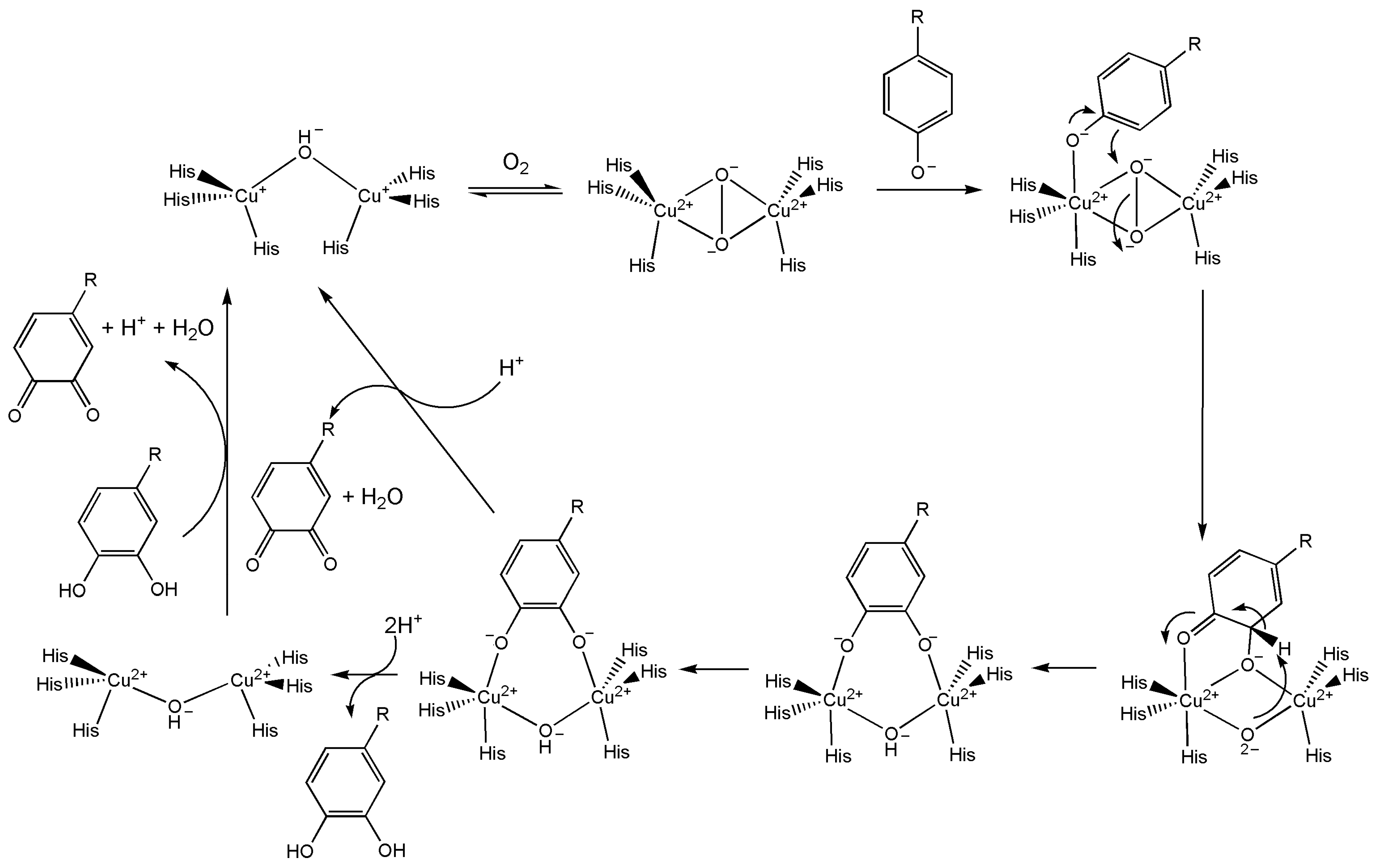 Inorganics 13 00137 g064 Inorganics 13 00137 g064