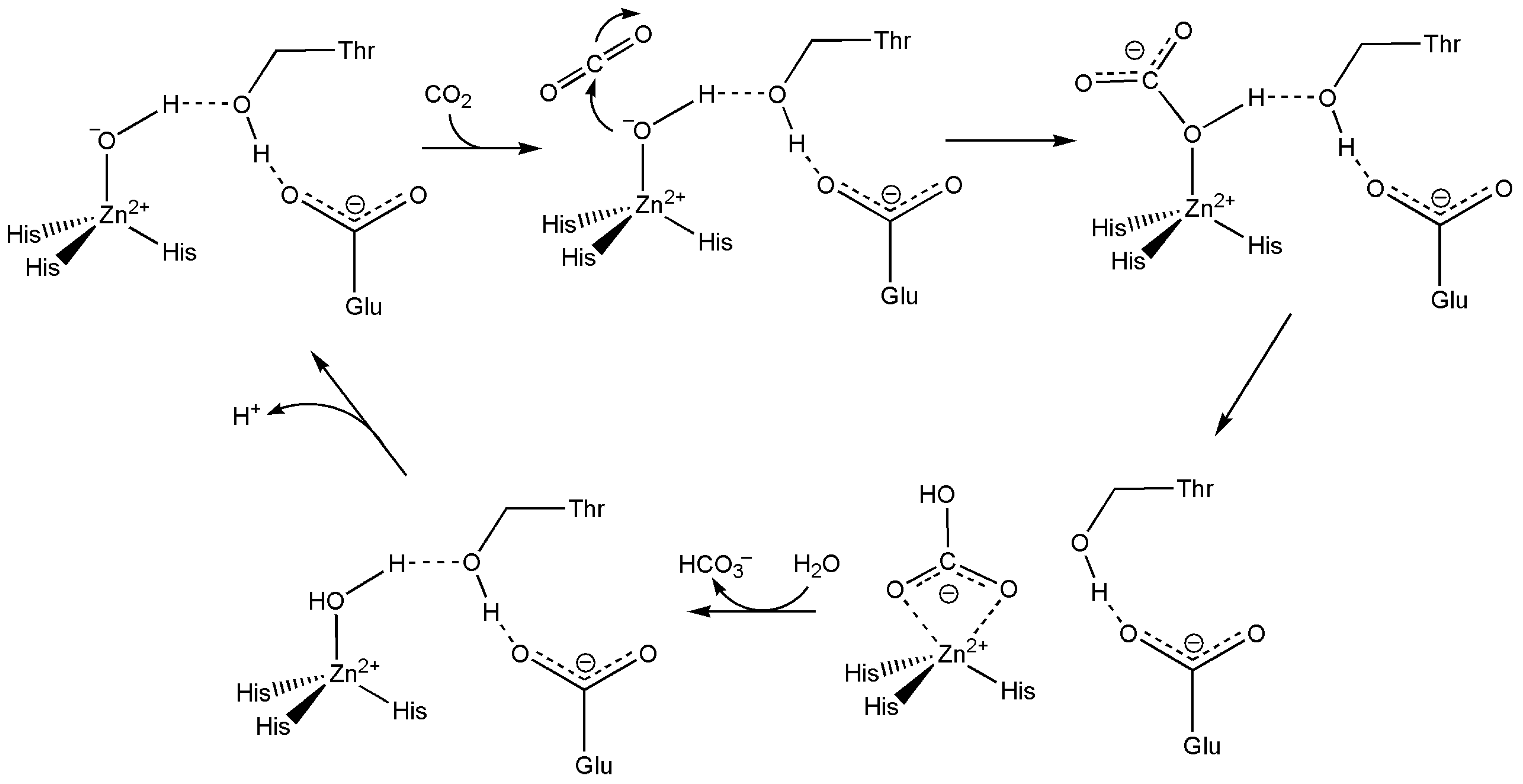 Inorganics 13 00137 g067 Inorganics 13 00137 g067