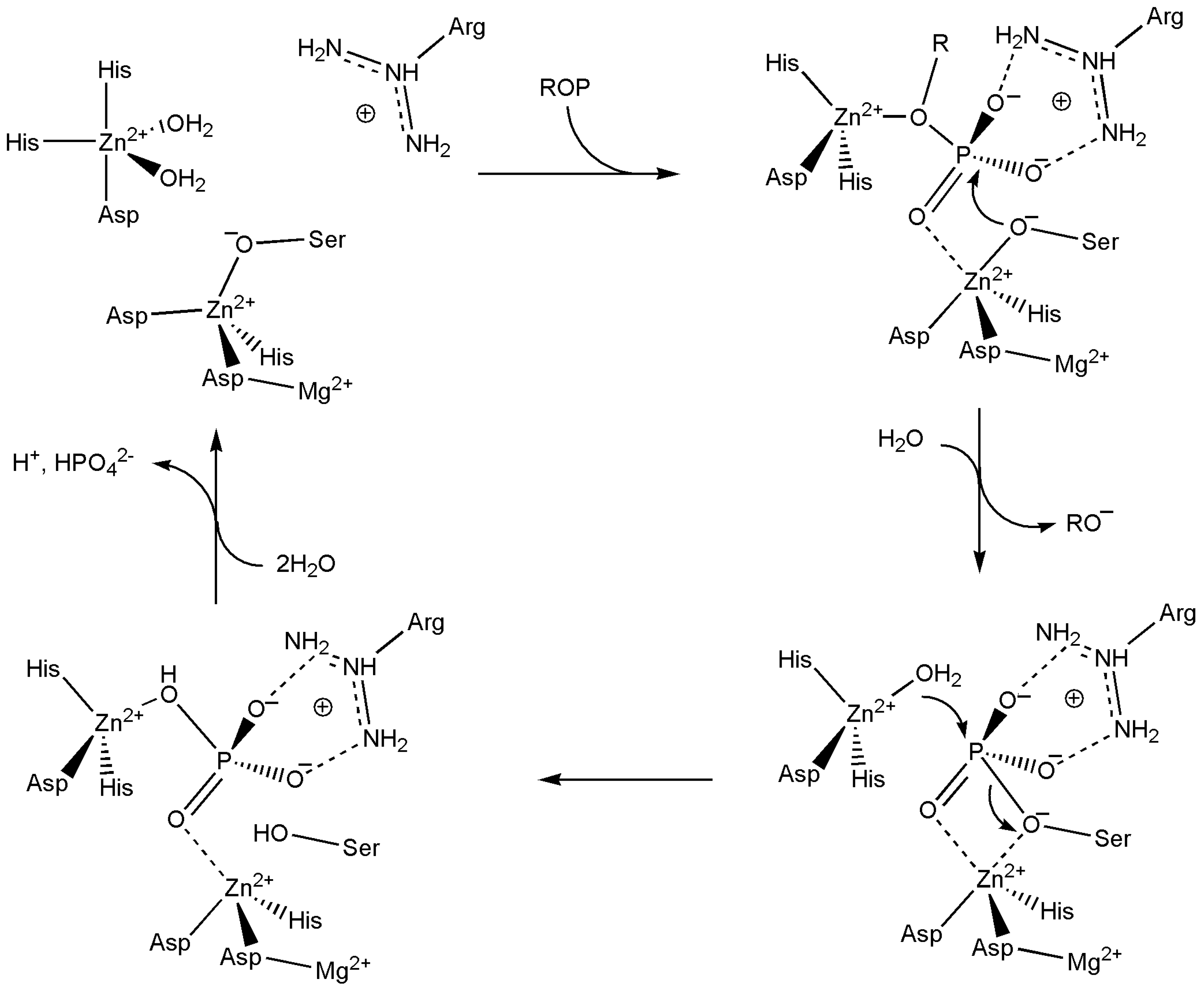Inorganics 13 00137 g070 Inorganics 13 00137 g070