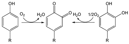 Inorganics 13 00137 i006 Inorganics 13 00137 i006