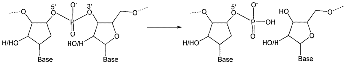 Inorganics 13 00137 i007 Inorganics 13 00137 i007