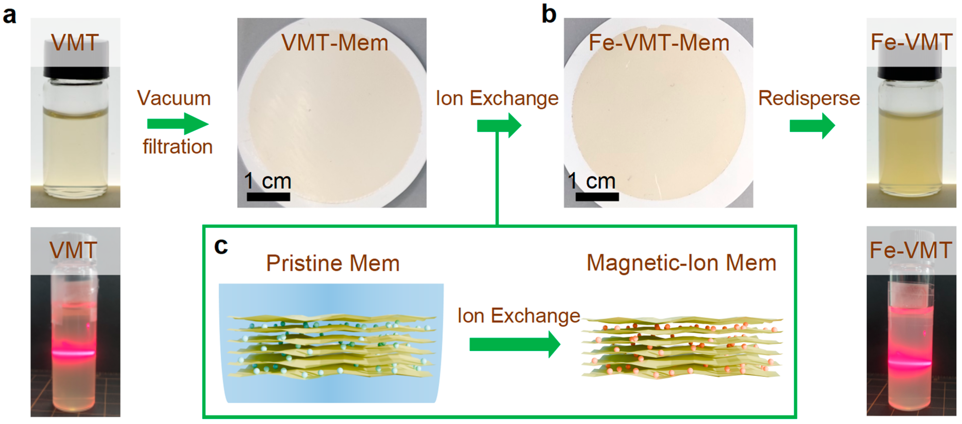 Inorganics 13 00139 g001