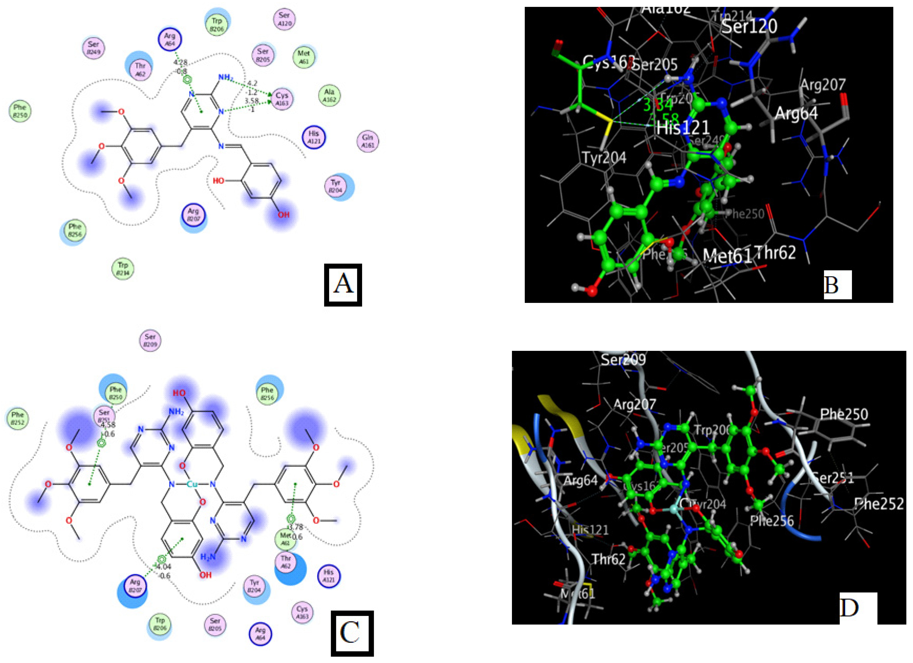 Inorganics 13 00144 g019